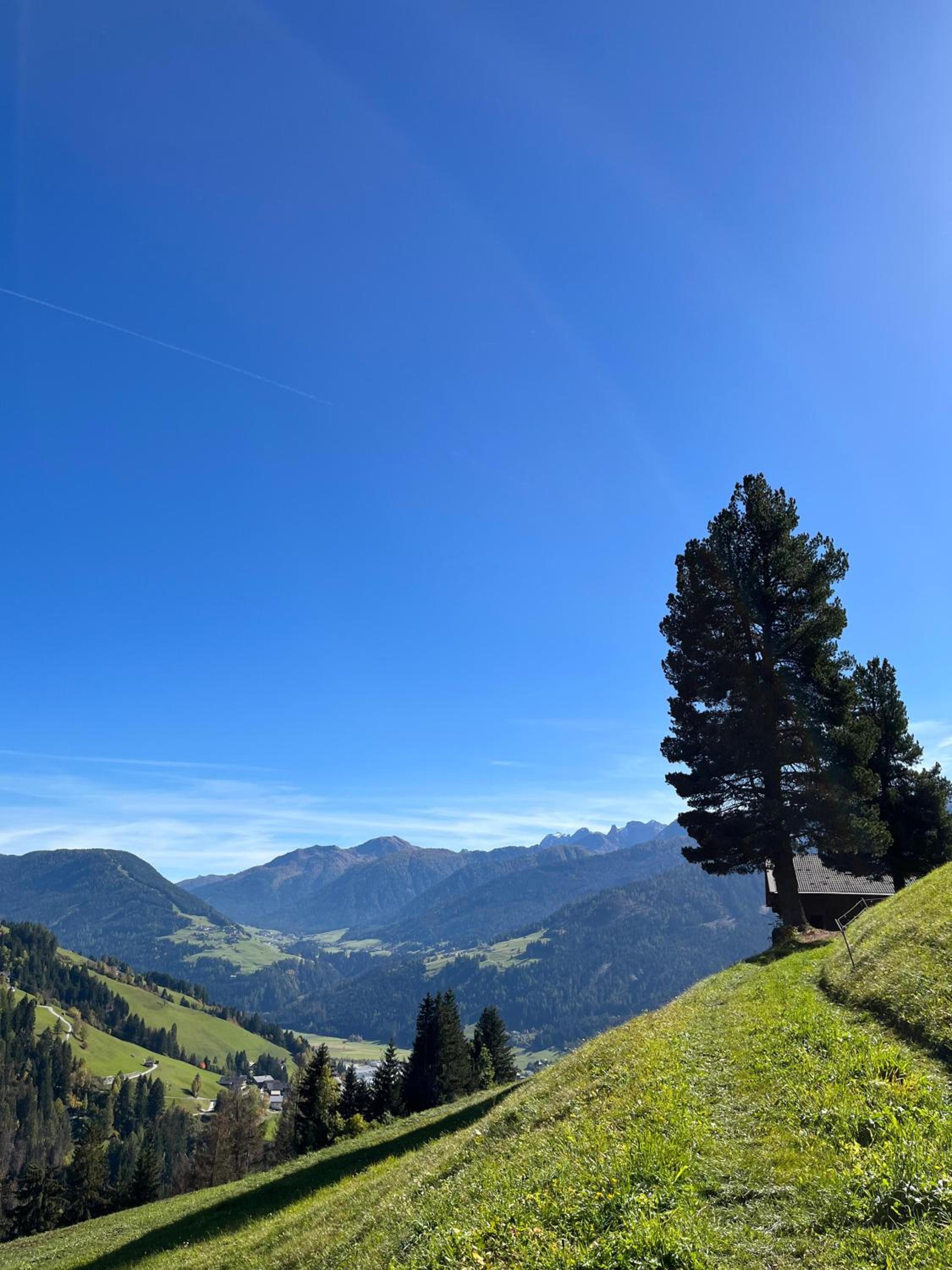 Rasterhof