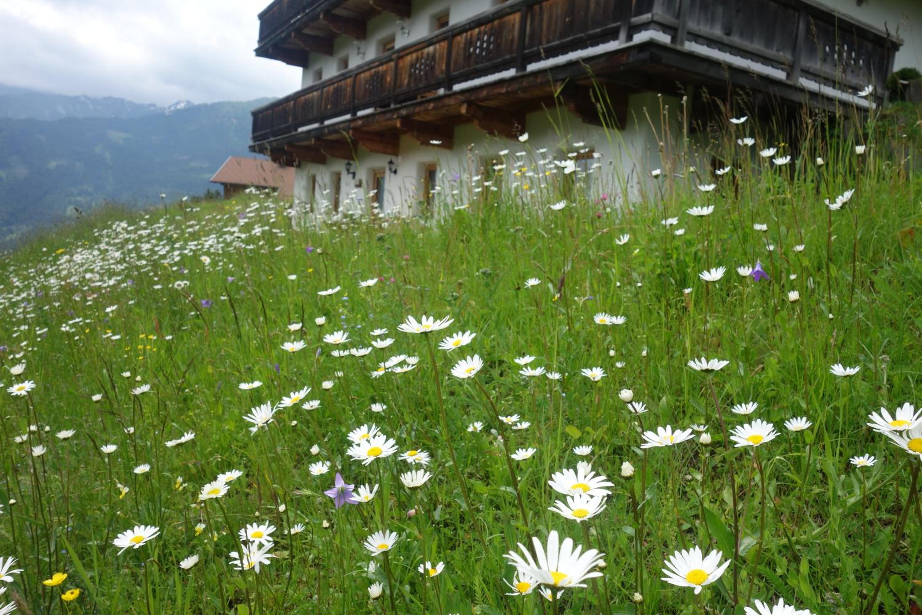 Rasterhof
