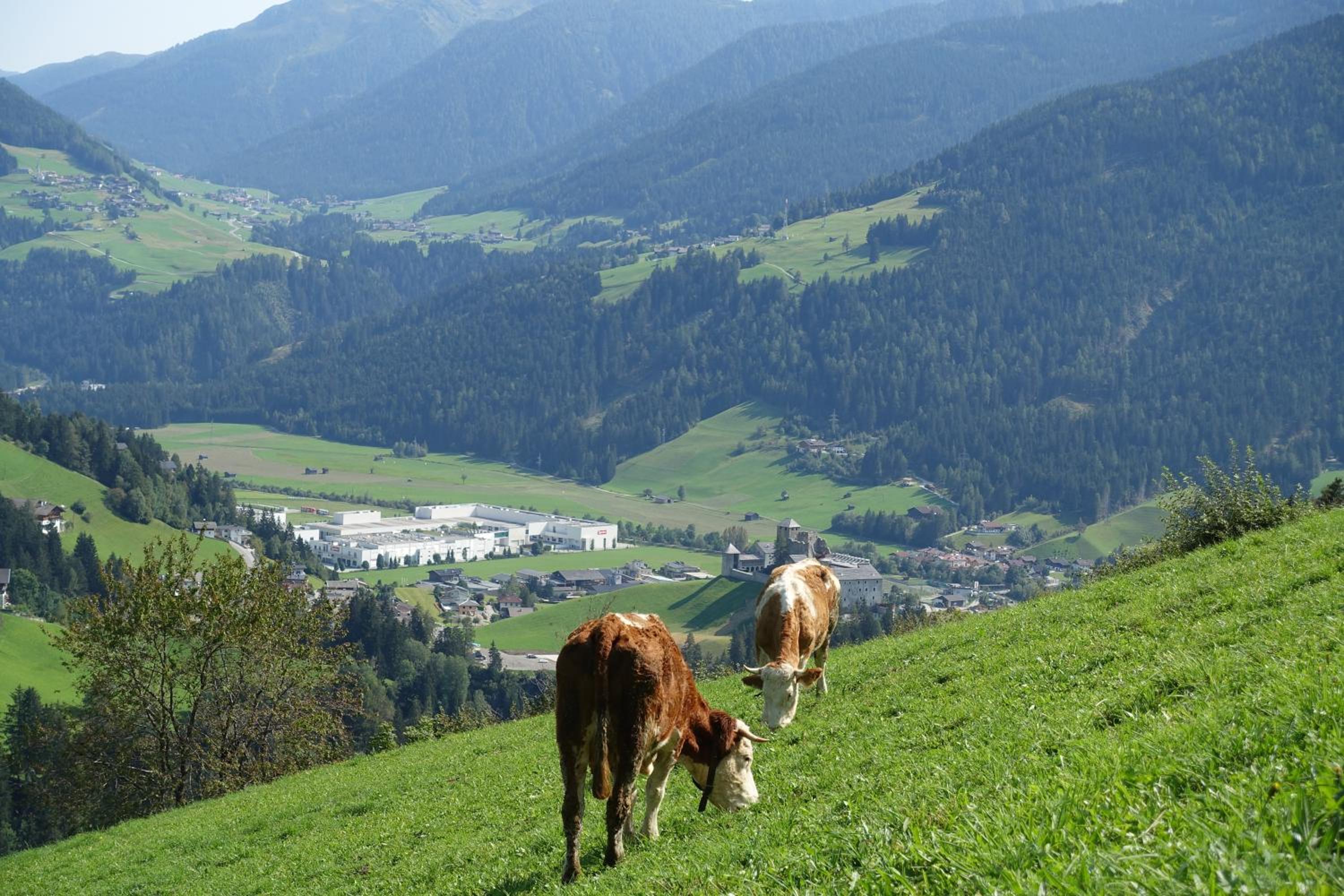 Rasterhof