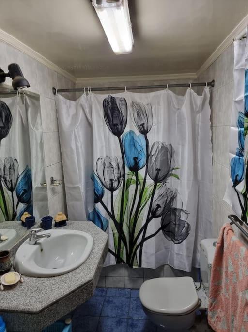 Palace apartment in unique historical area in Manial