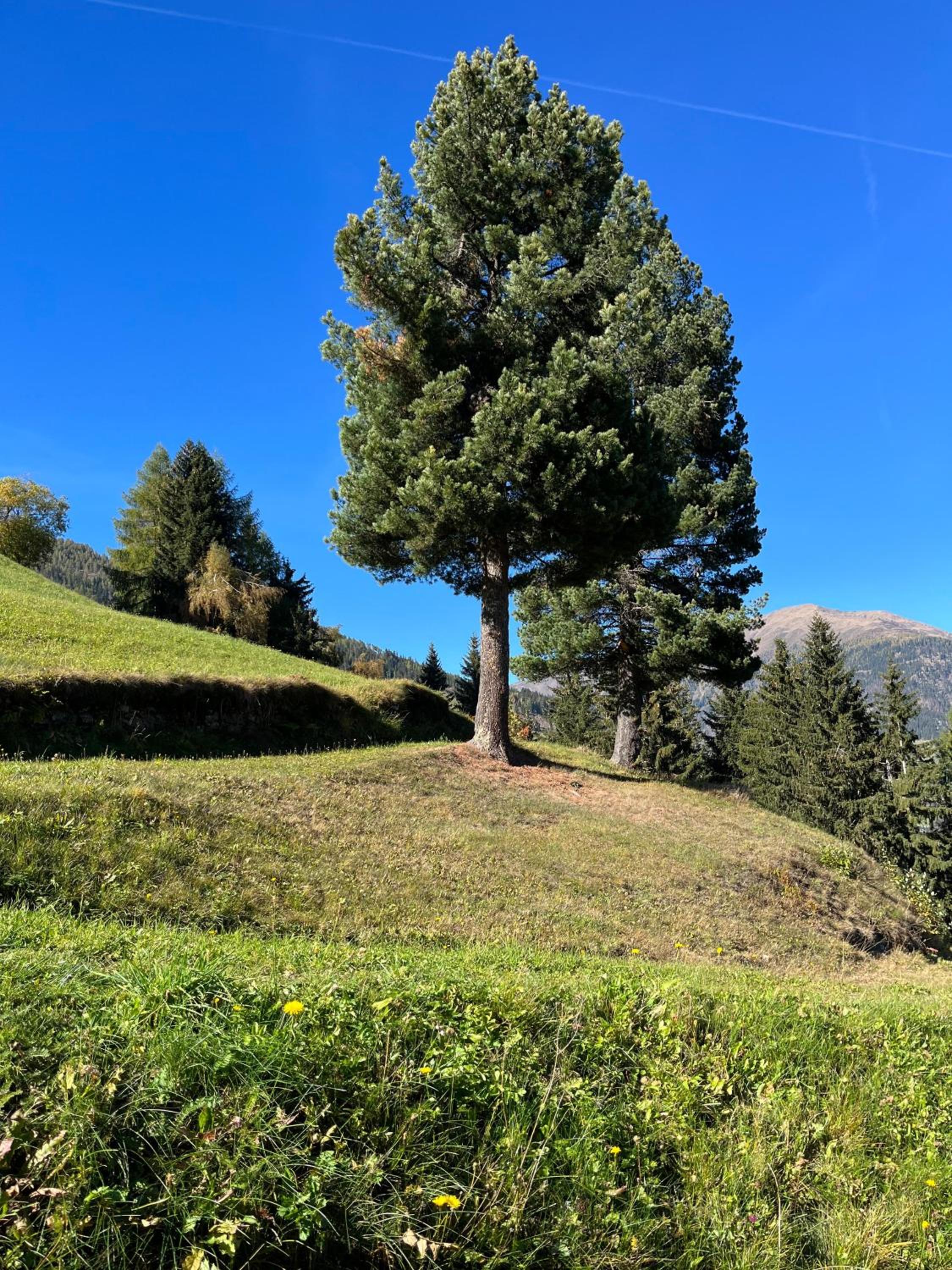 Rasterhof