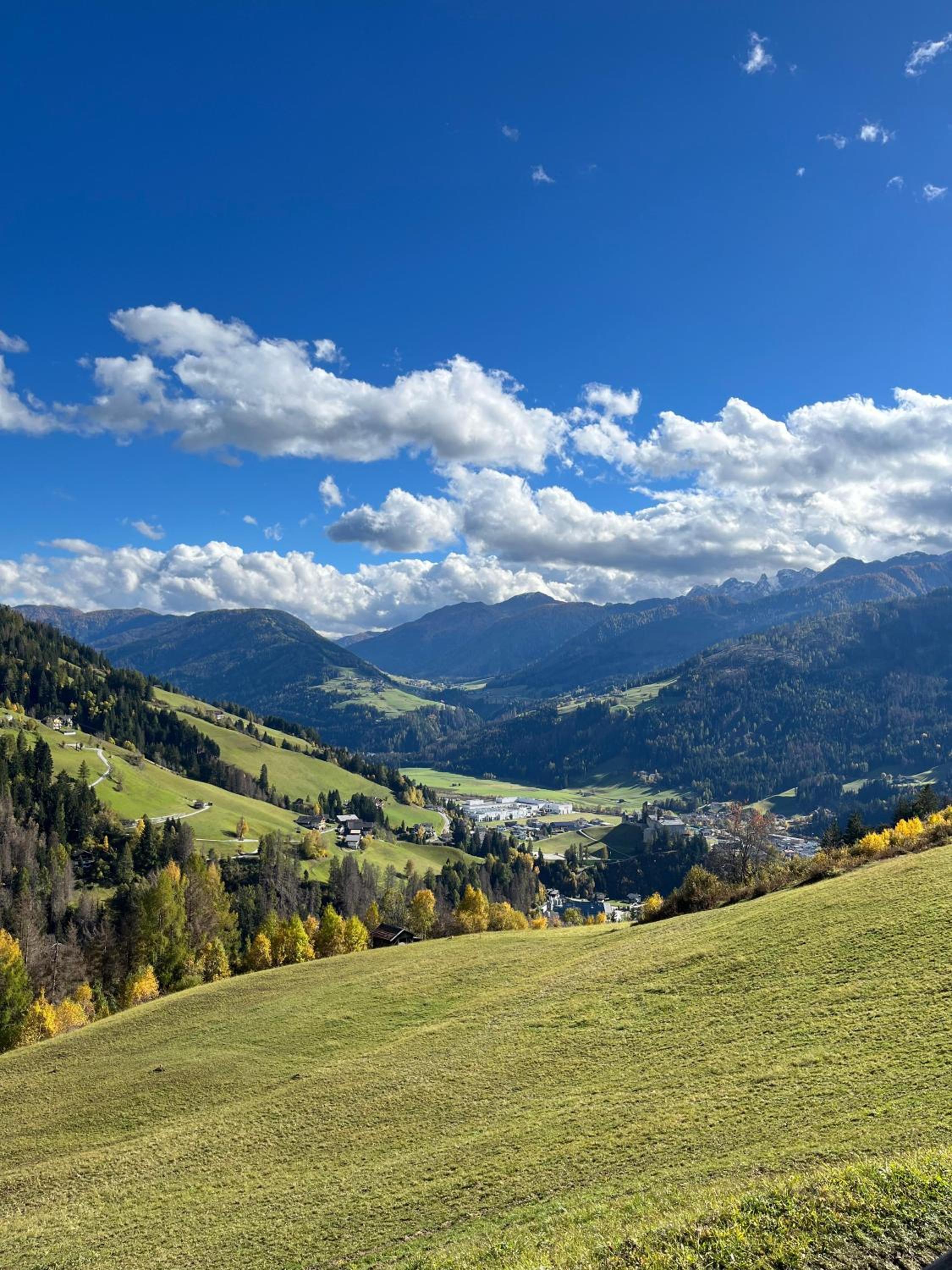 Rasterhof
