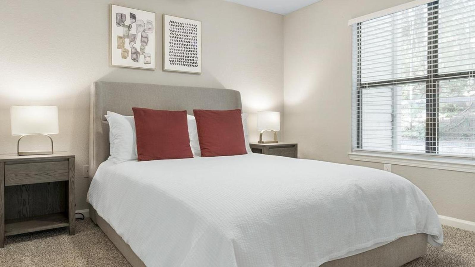 Landing at Star Lofts - 2 Bedrooms in Petersburg view 3