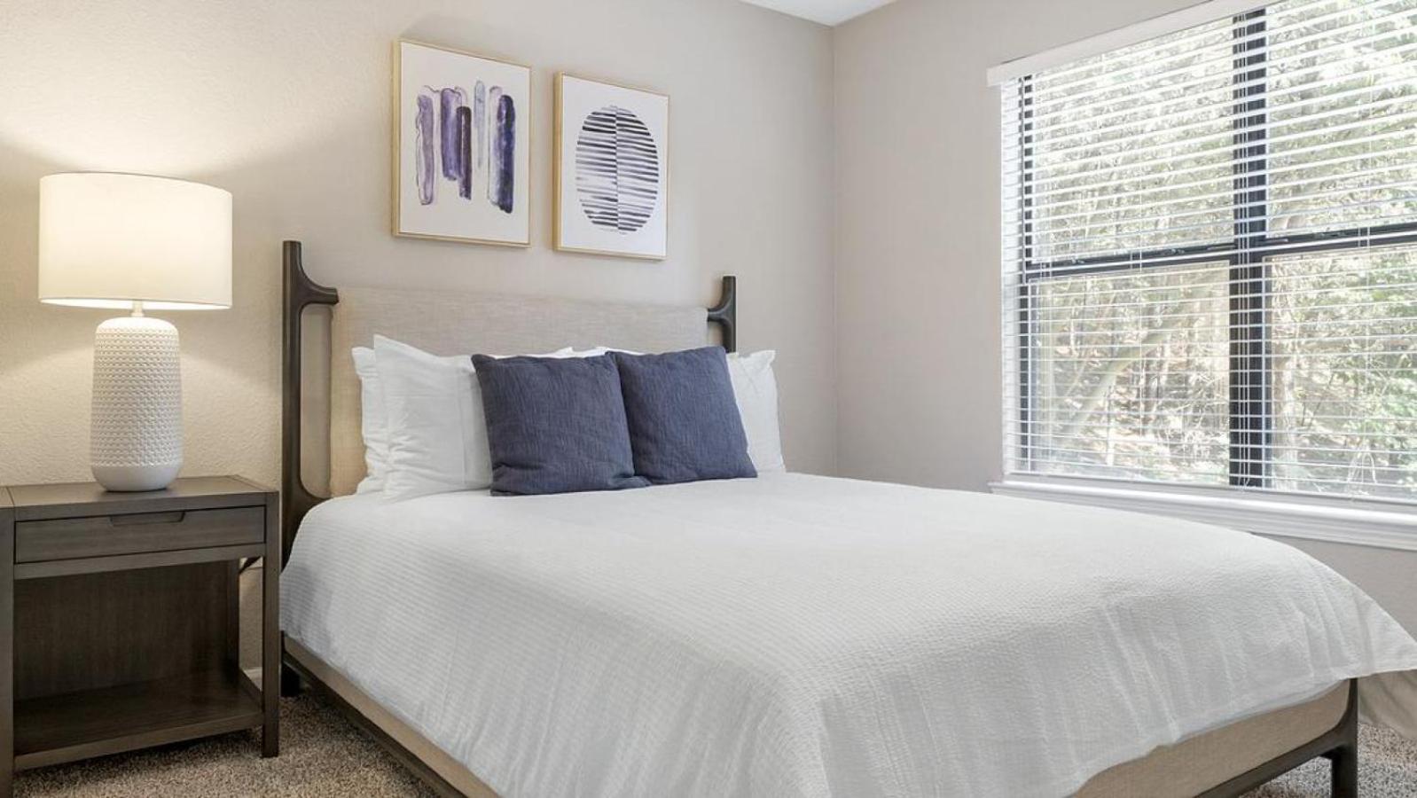 Landing at Star Lofts - 2 Bedrooms in Petersburg view 4