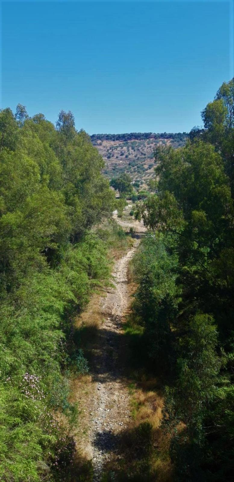 Finca el Agua da Vida (Los Eucaliptos & Los Olivos) view 3