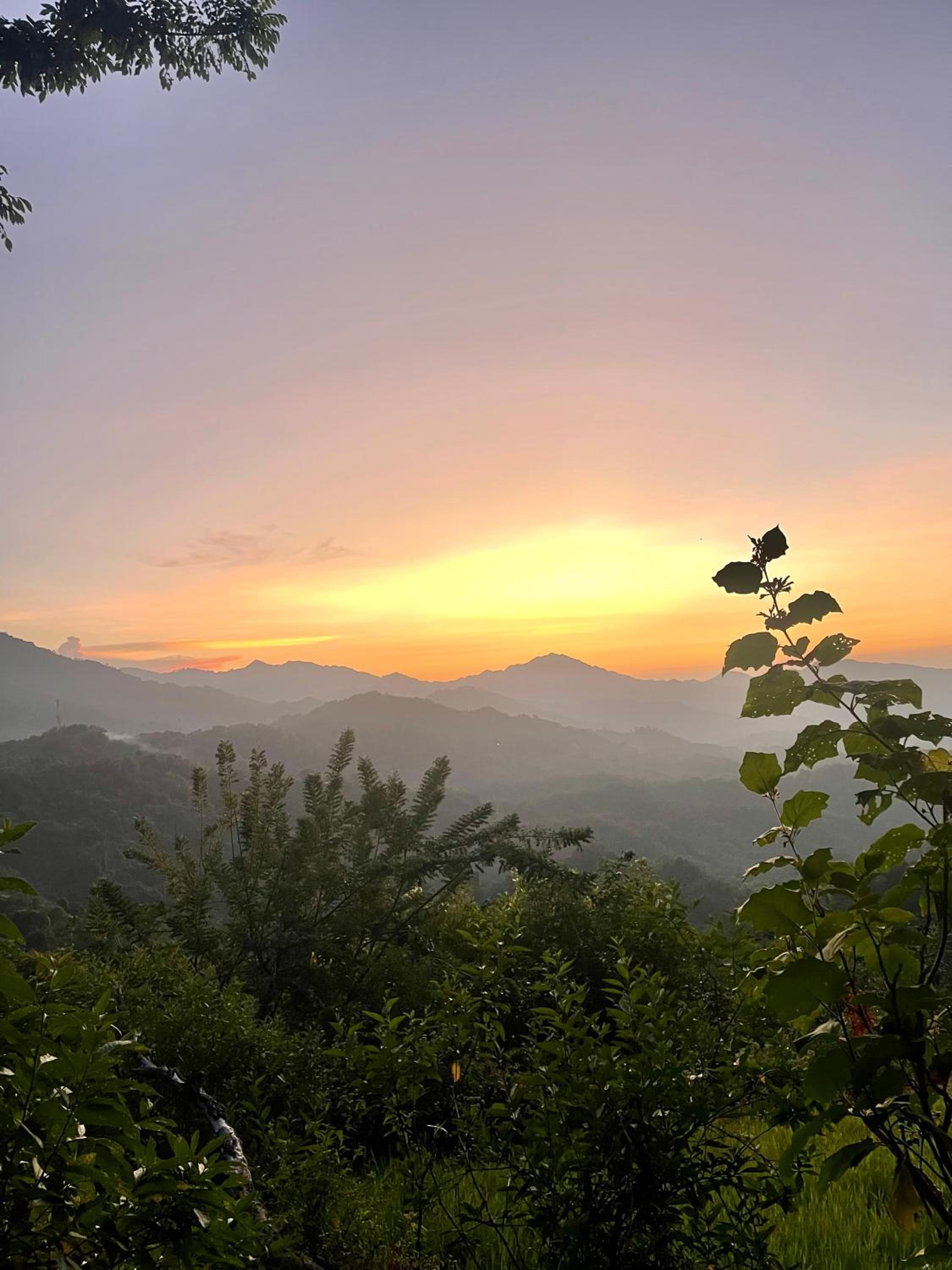 Sunset Serenata