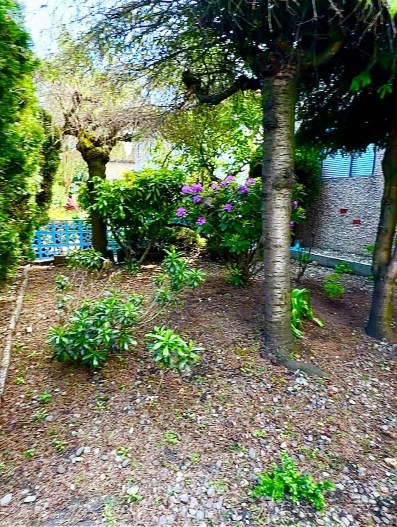 Charming Corner