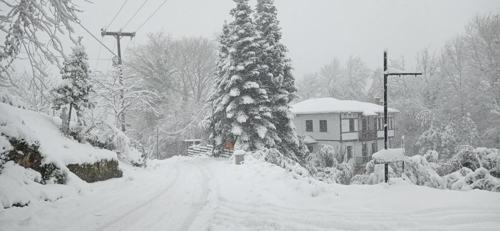 Photo 46