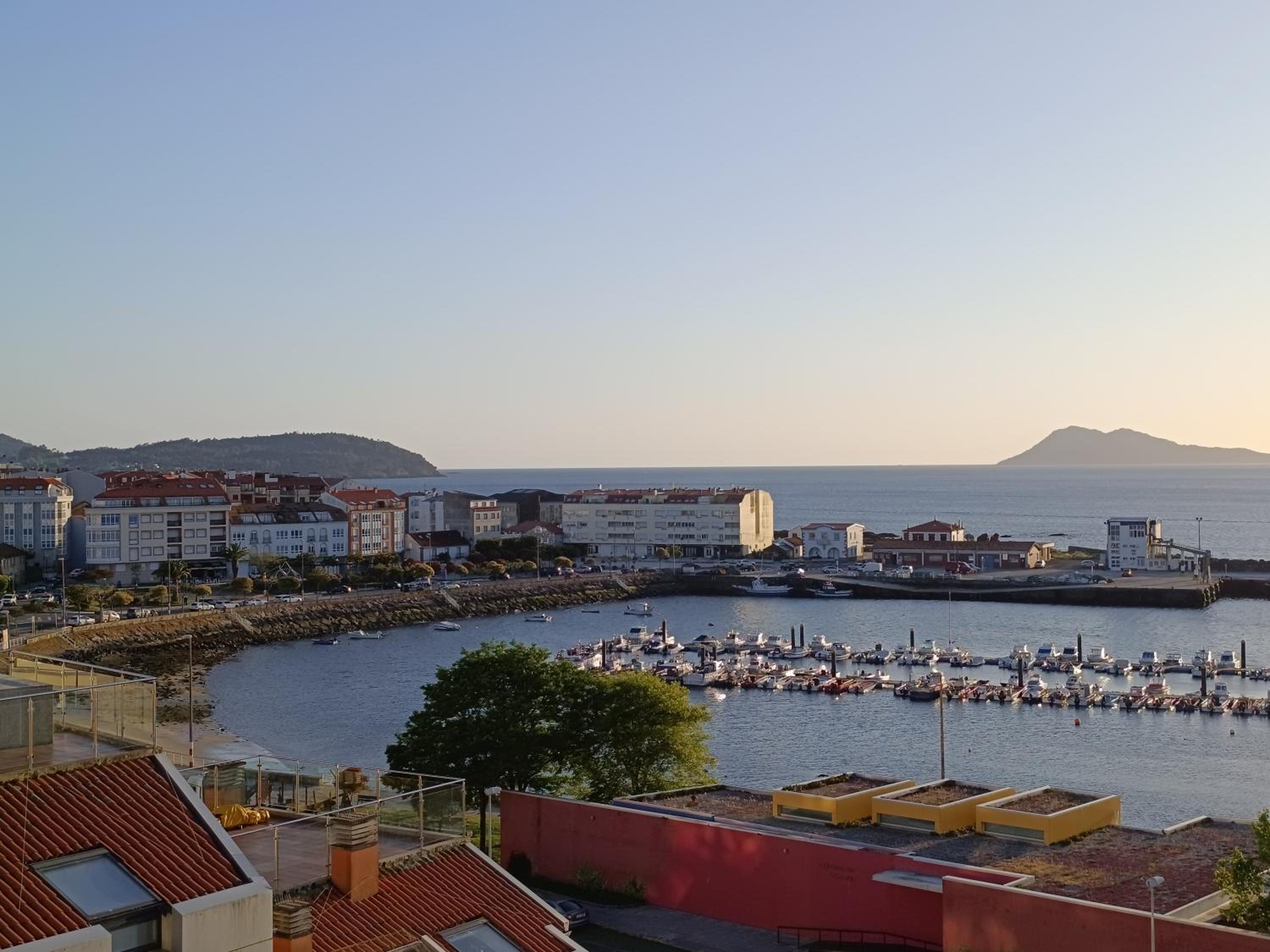 Oliveira de Portosín