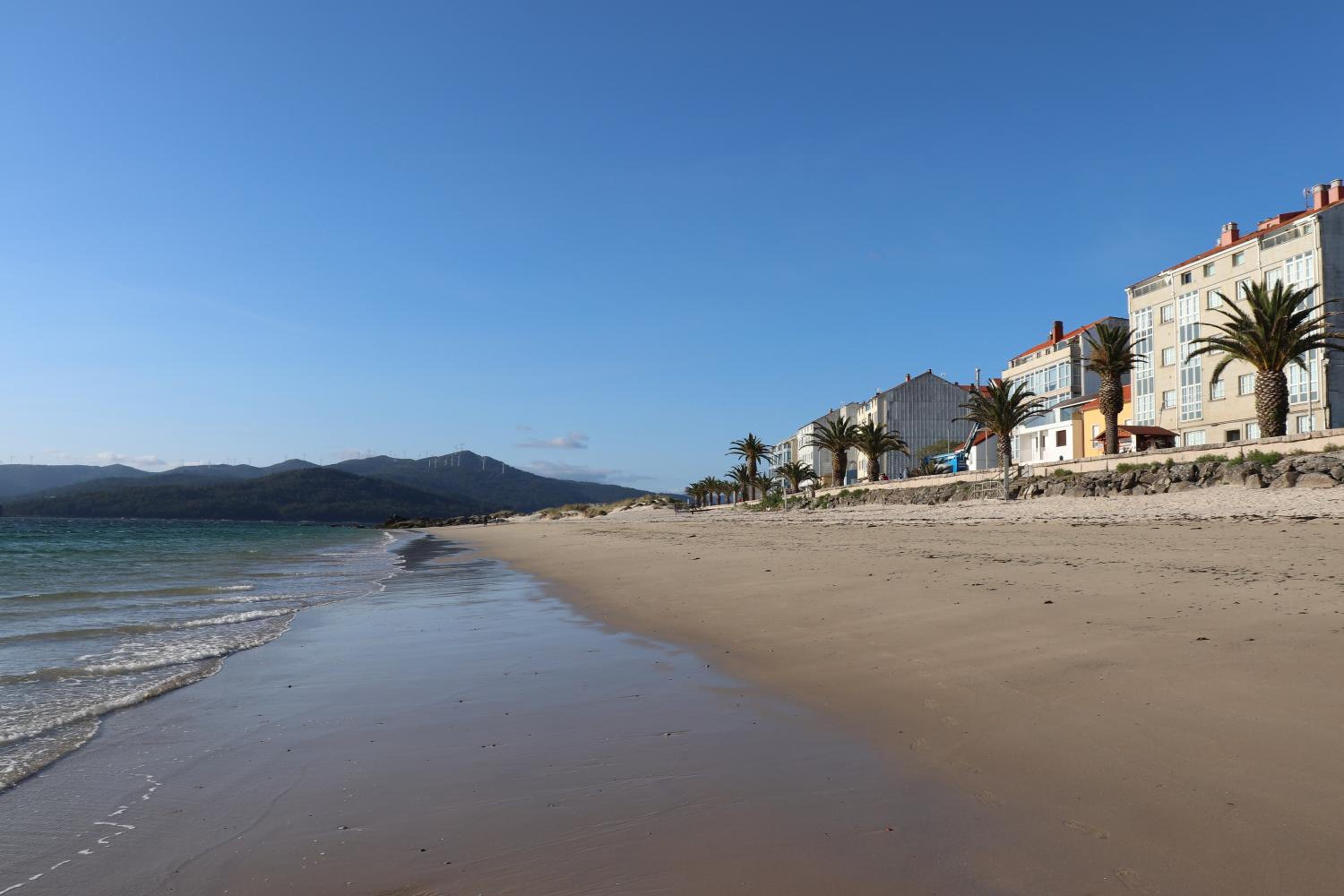 Oliveira de Portosín