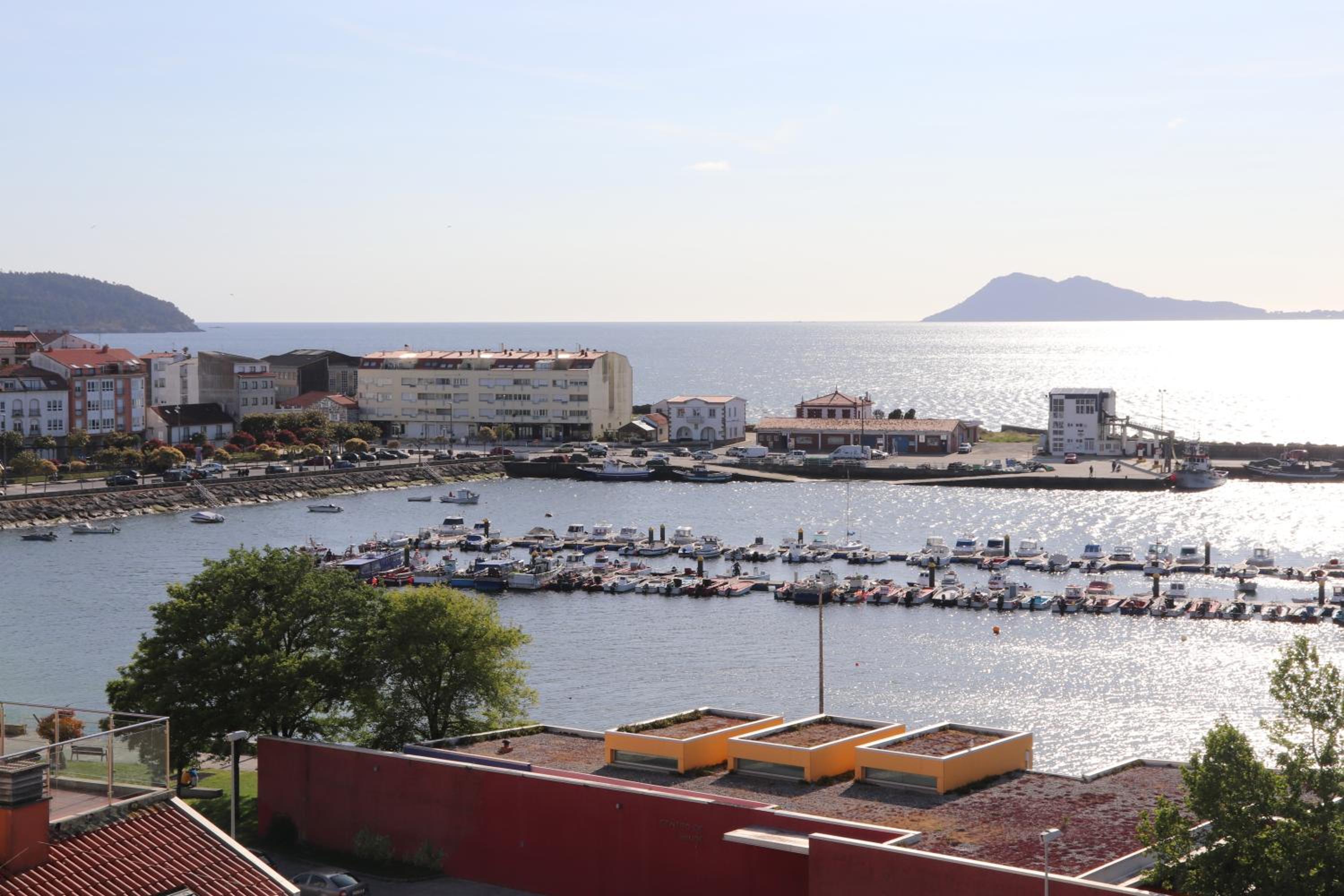 Oliveira de Portosín