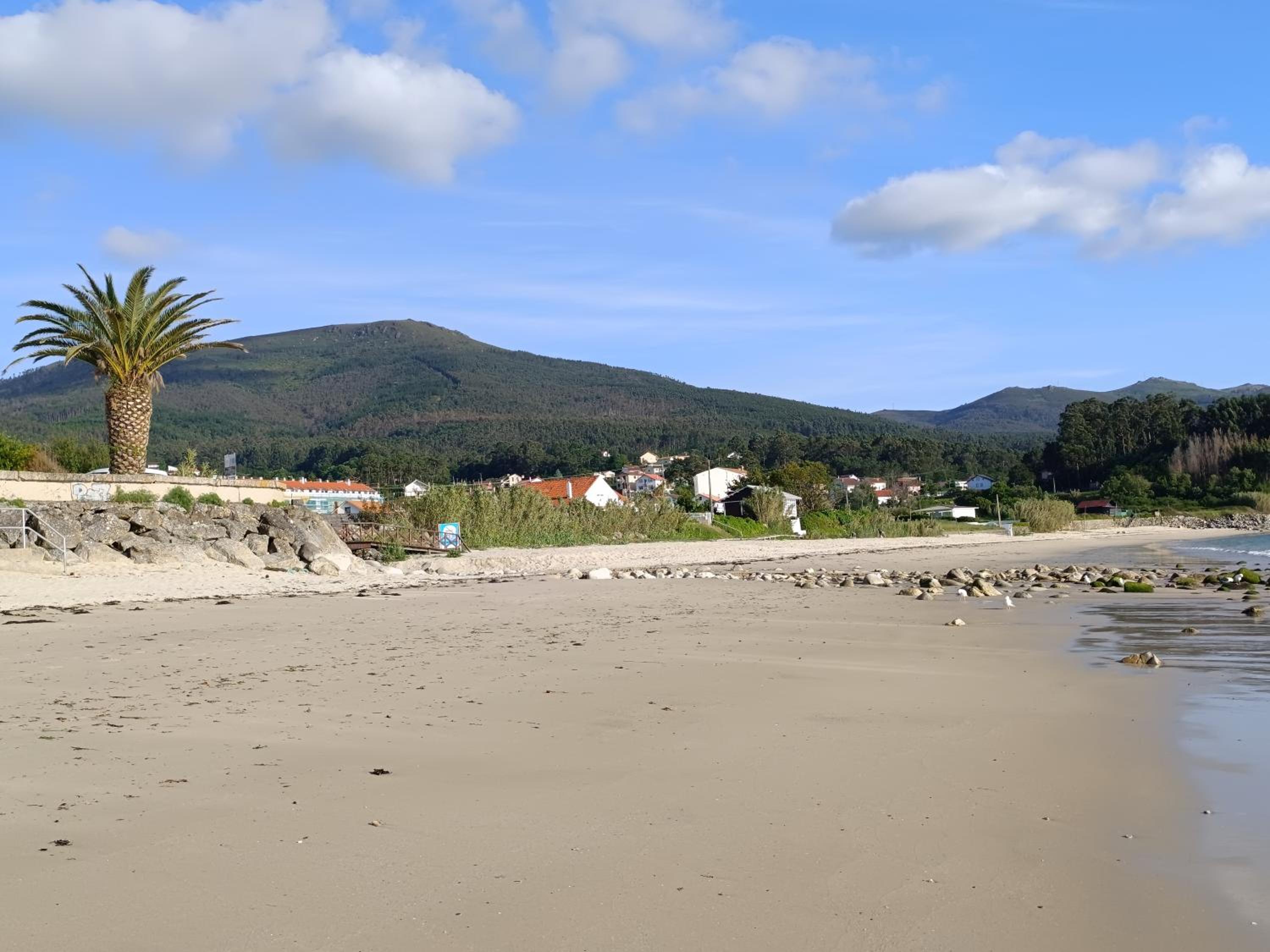 Oliveira de Portosín