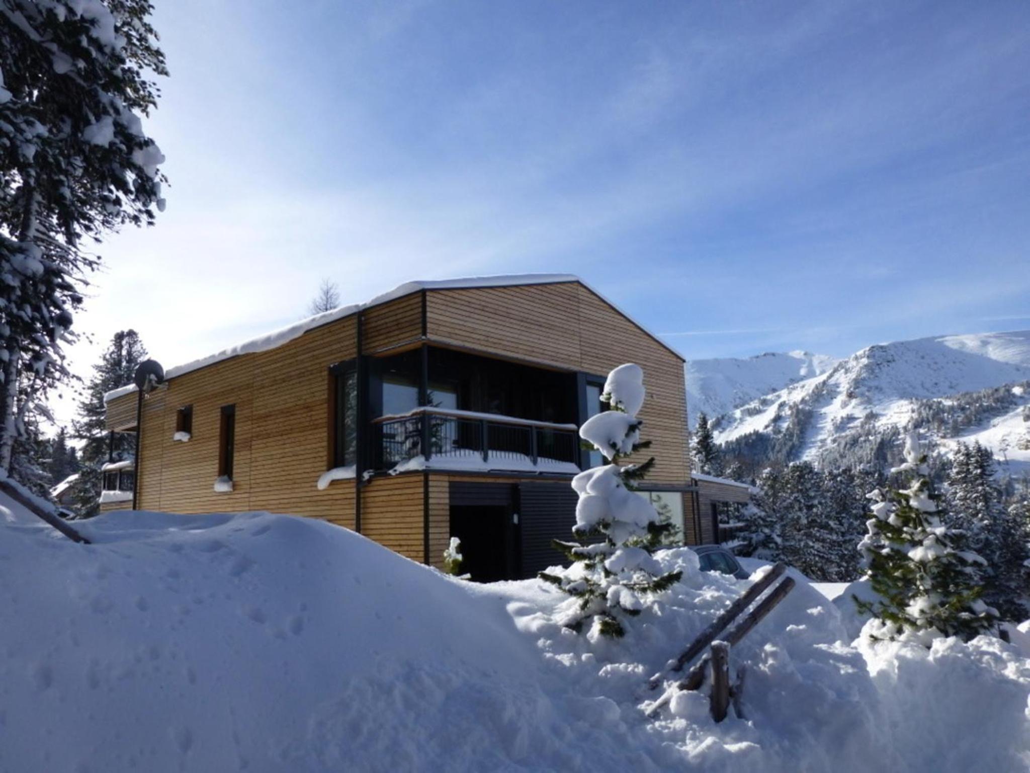 Alm-Chalet Turracherhöhe