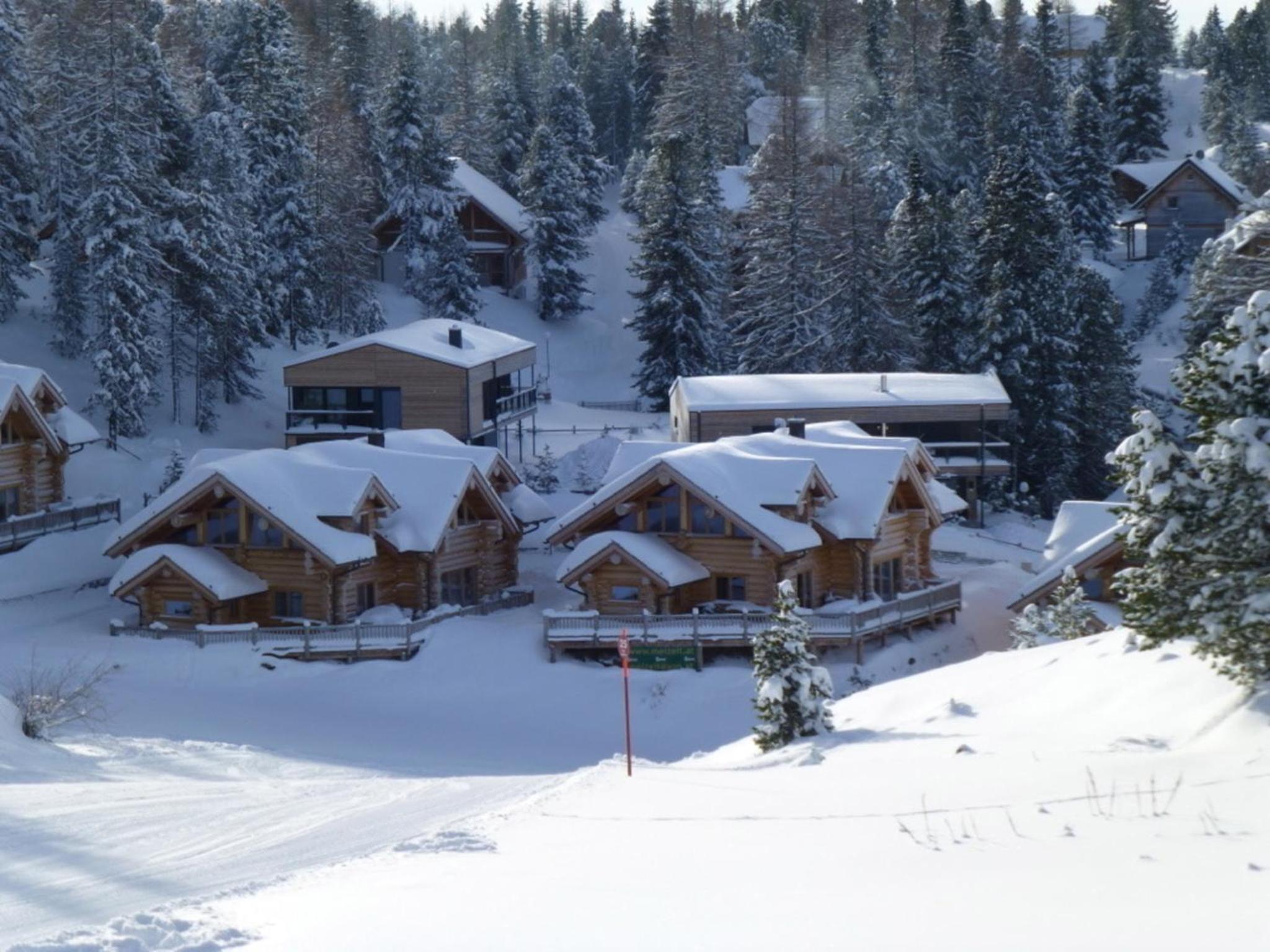 Alm-Chalet Turracherhöhe