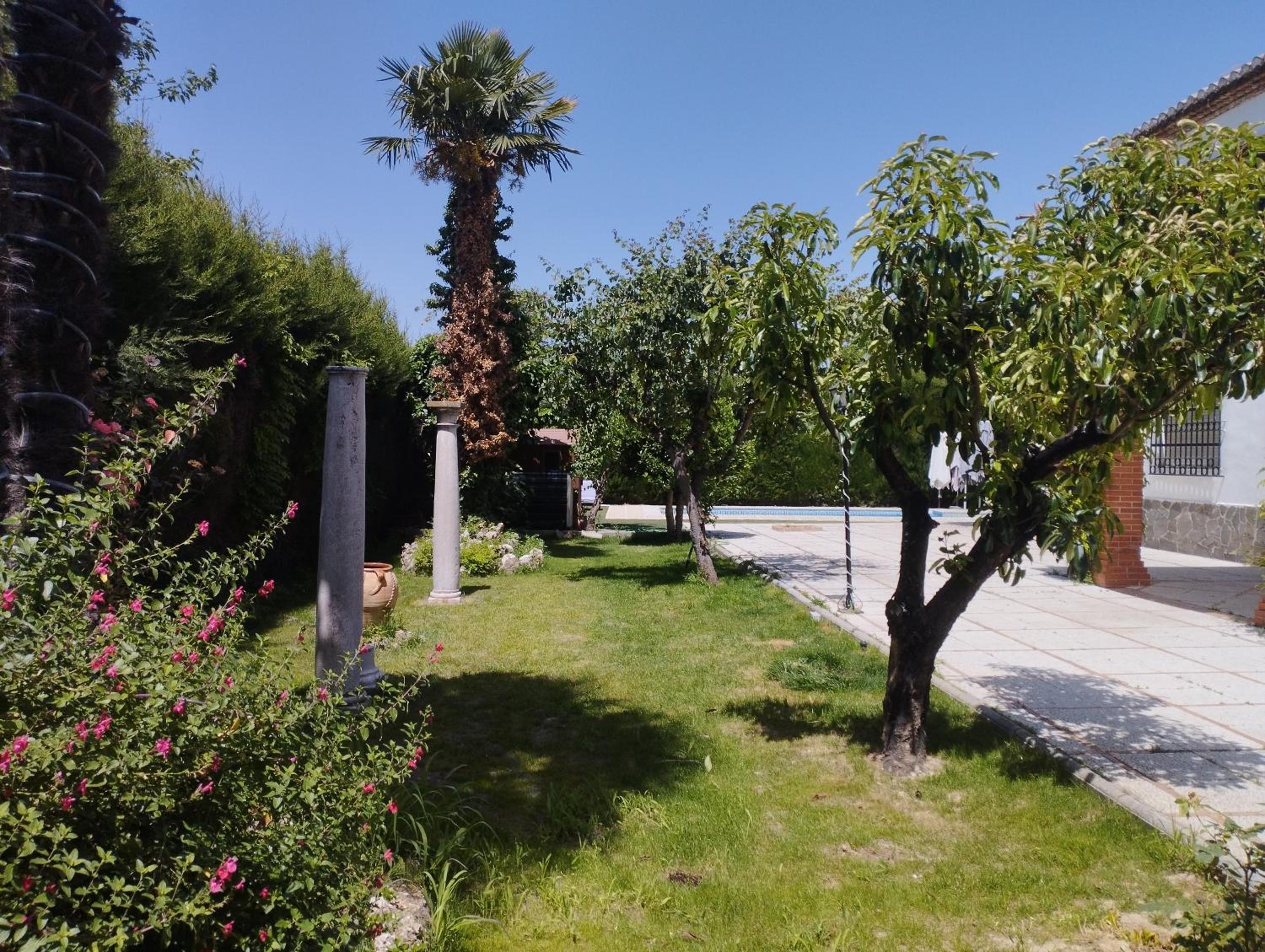 VIVIENDA RURAL HUERTA DEl MEDIO