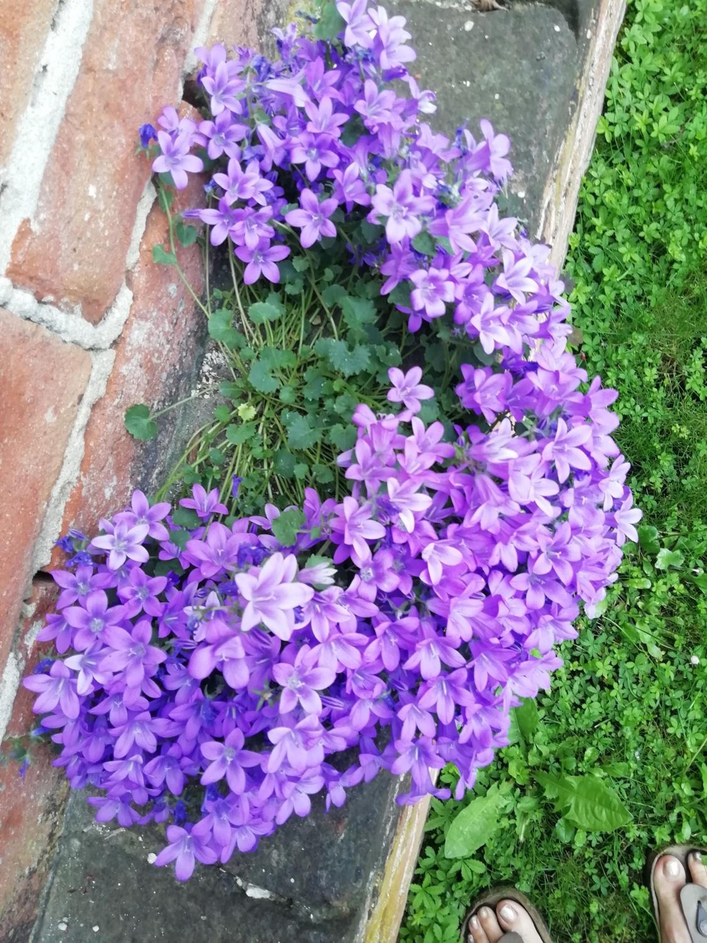 Photo 32