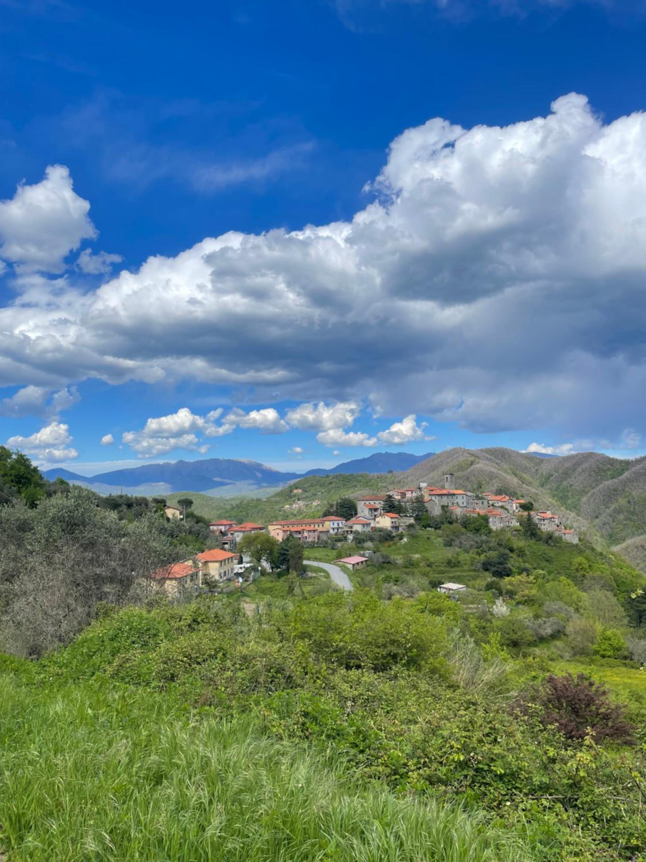 Photo 29