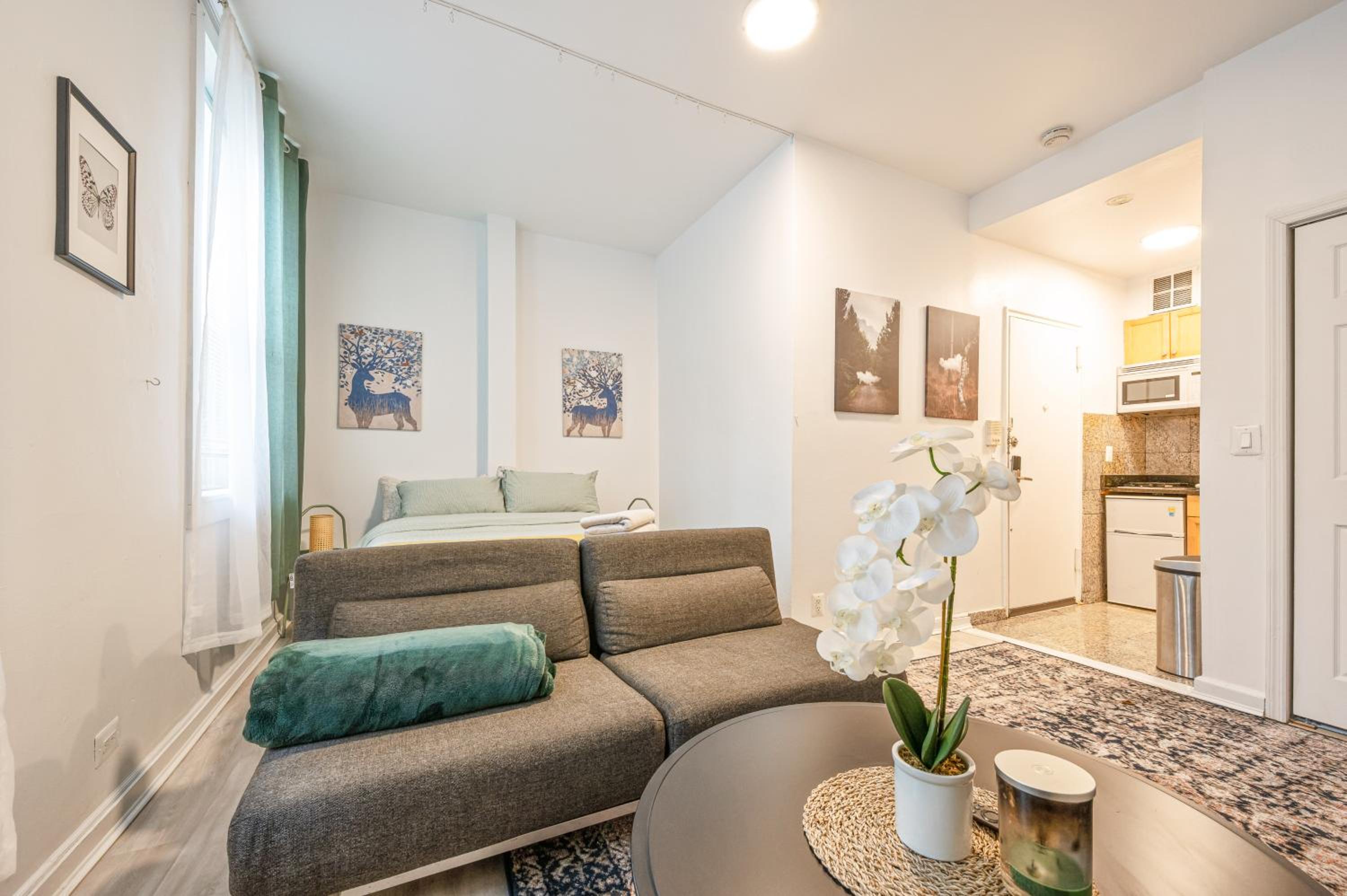 Furnished Comfy Studio in Kips Bay