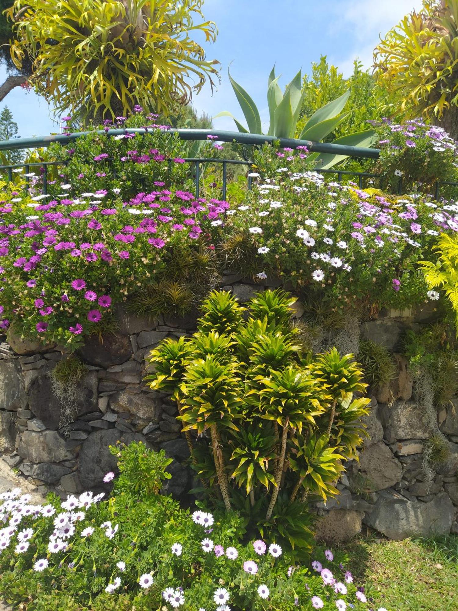 BioFuncho Garden Residence