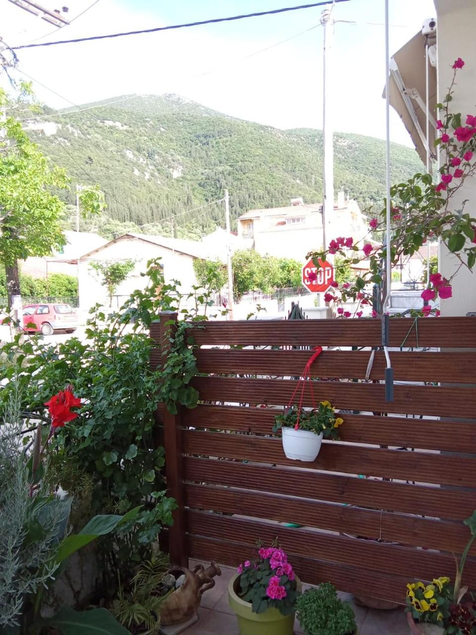 Photo 30
