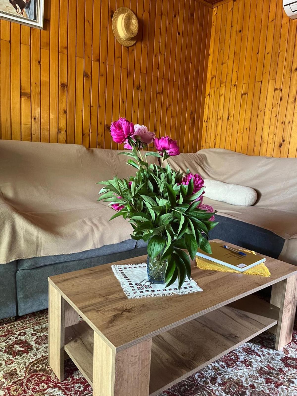 Kuća za odmor Rukova Hiža, sauna, jacuzzi view 4
