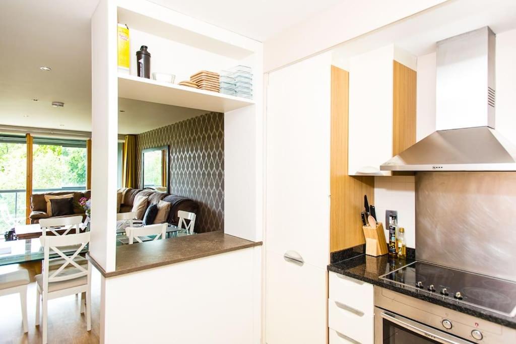Luxury Apartment in Dublin