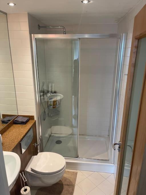 Luxury Apartment in Dublin