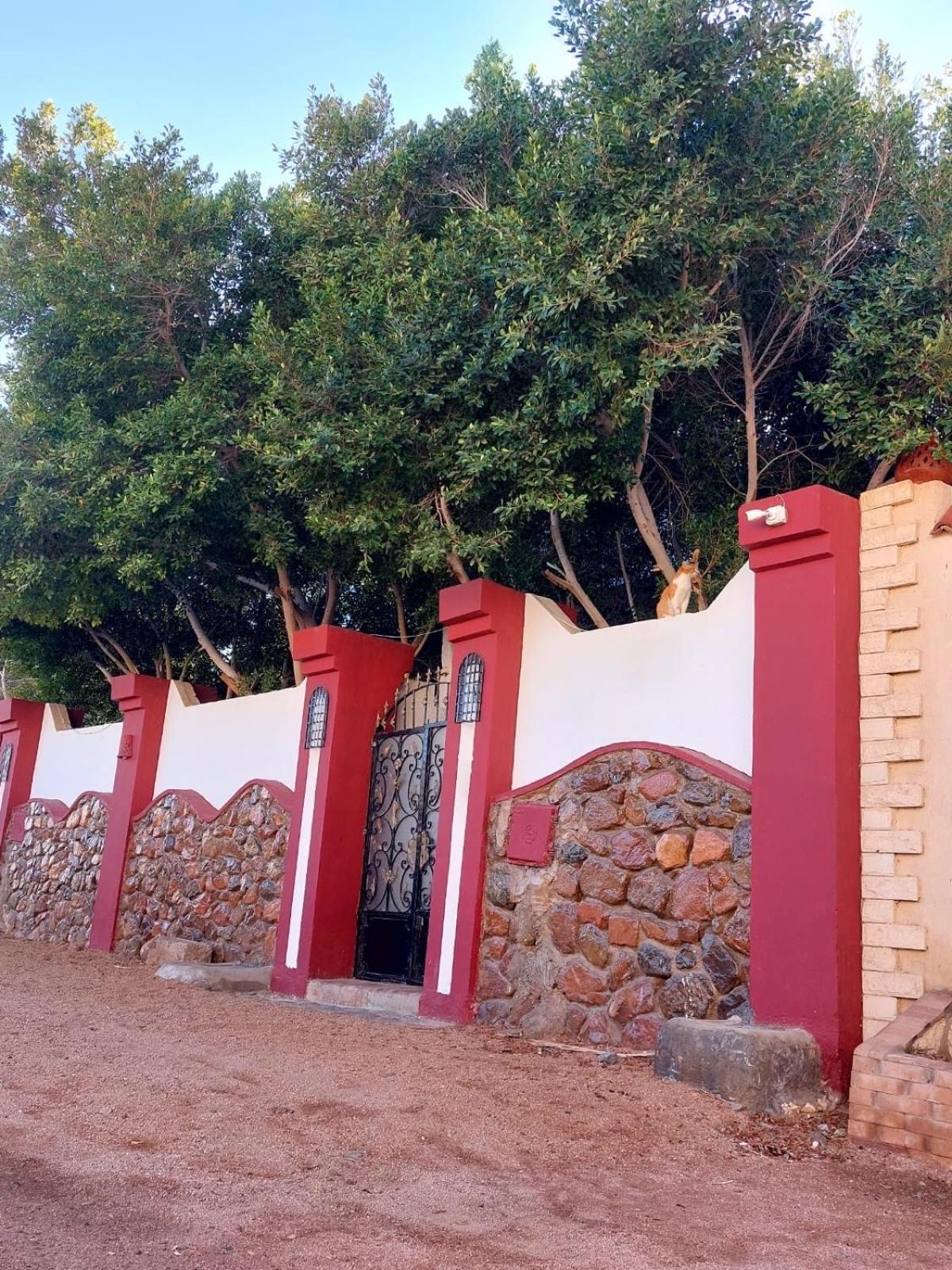 Red oasis