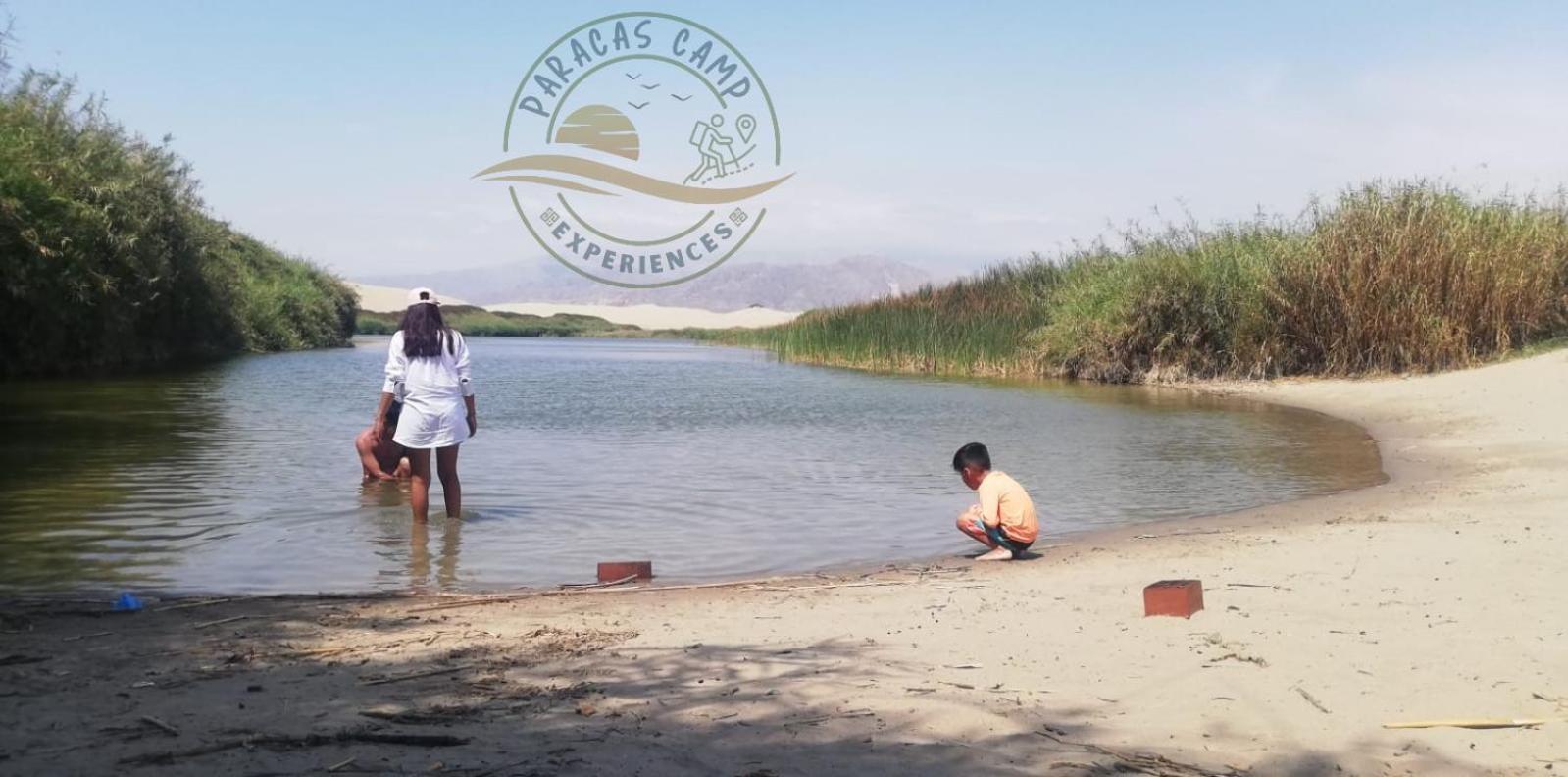 Photo 142