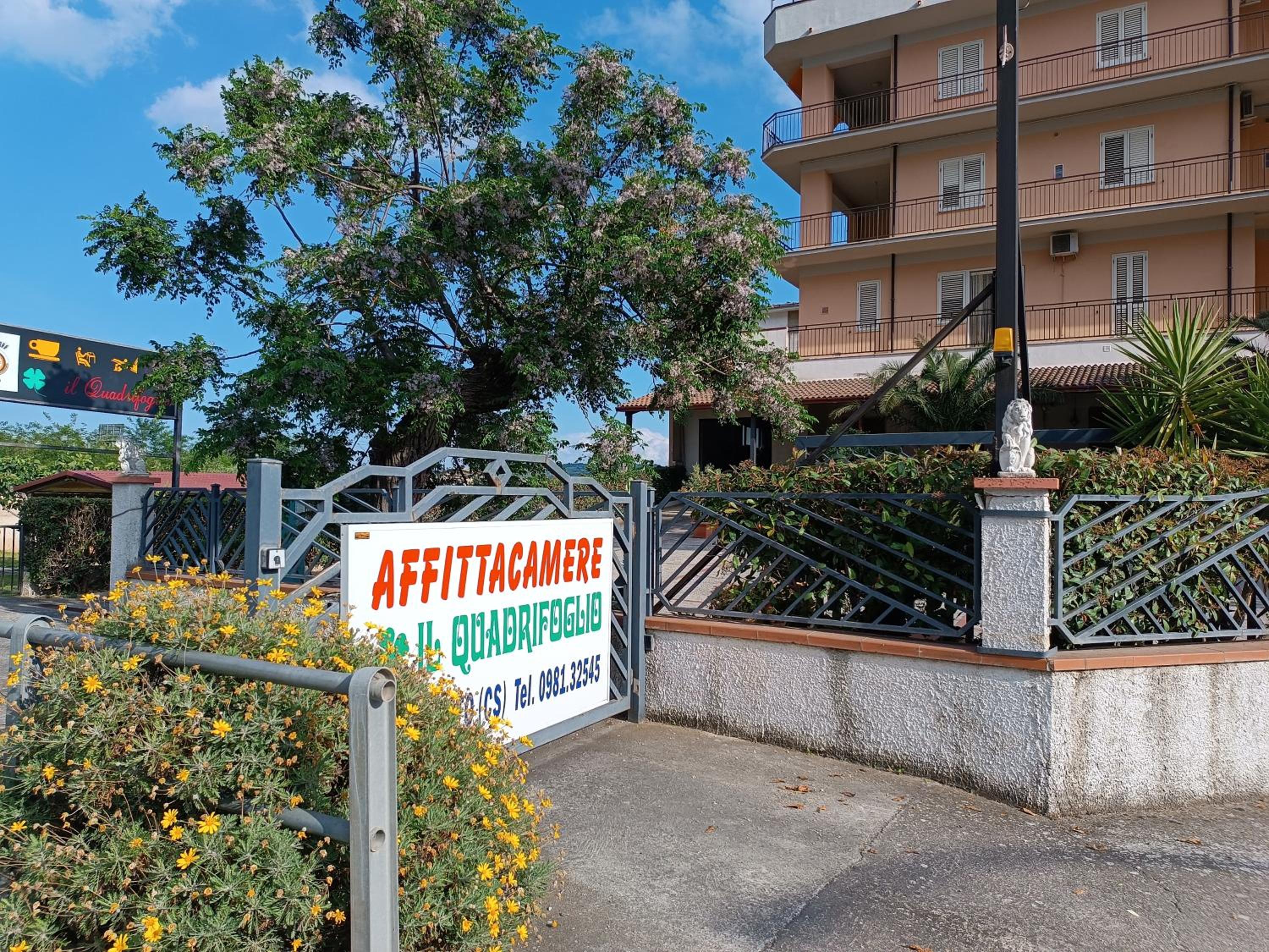 Il Quadrifoglio view 4