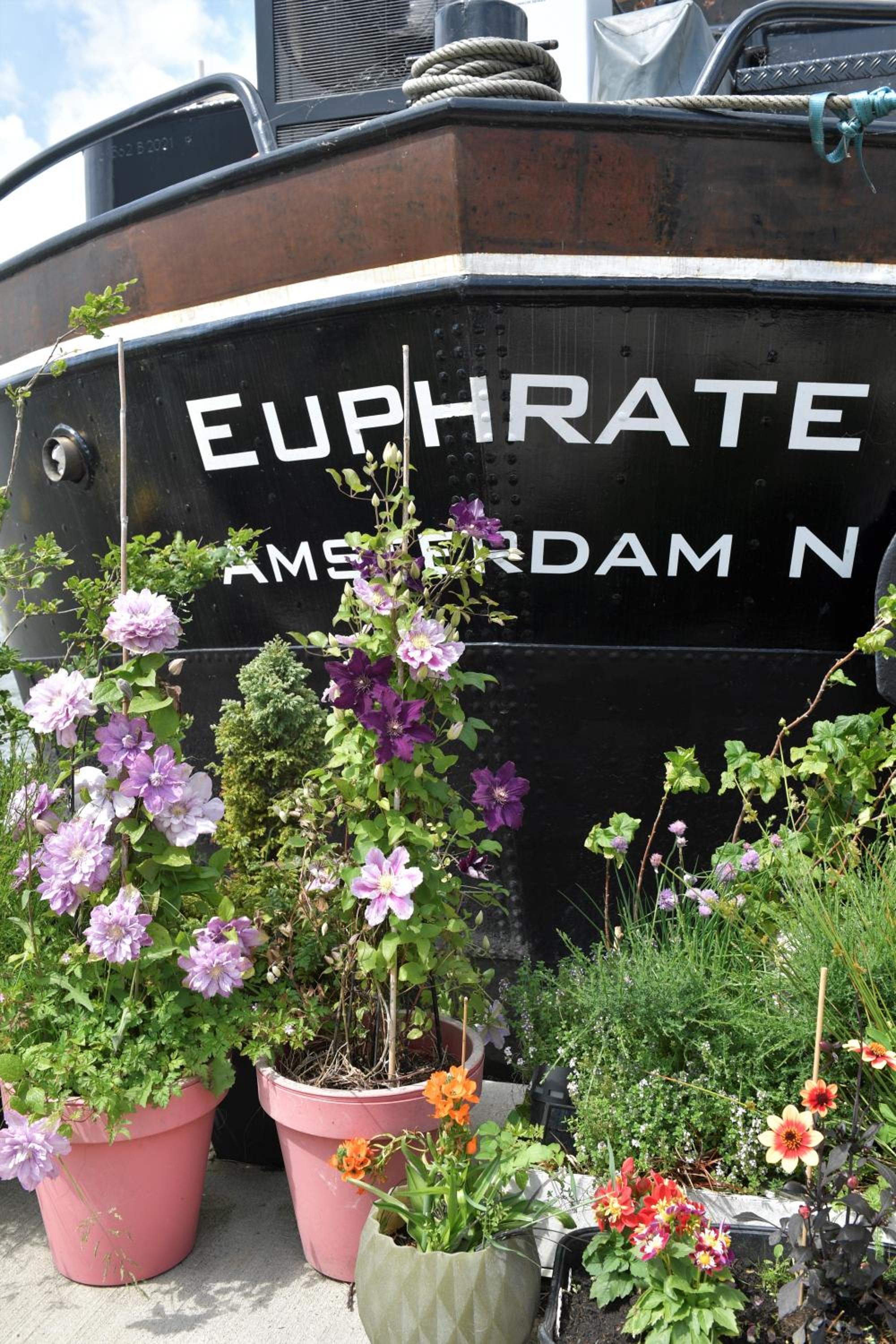 WHEELHOUSE EUPHRATE HOUSEBOAT