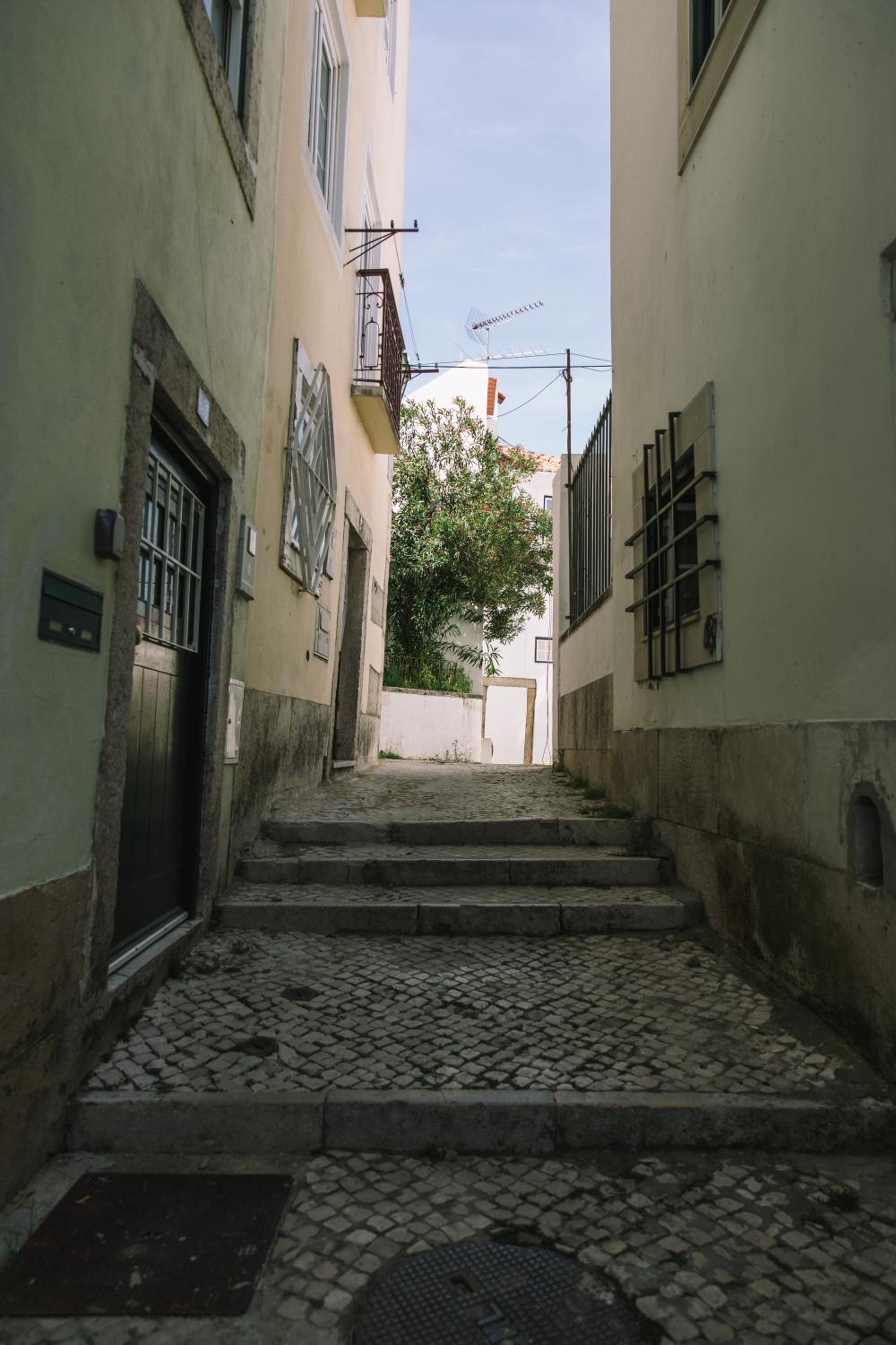 Photo 38