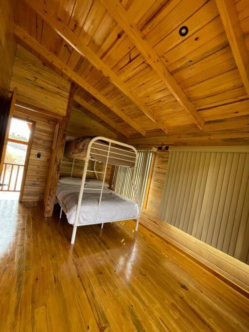 The Oak Dreams