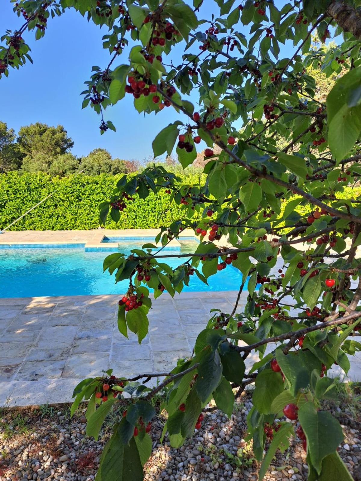Trulli Gianfelice