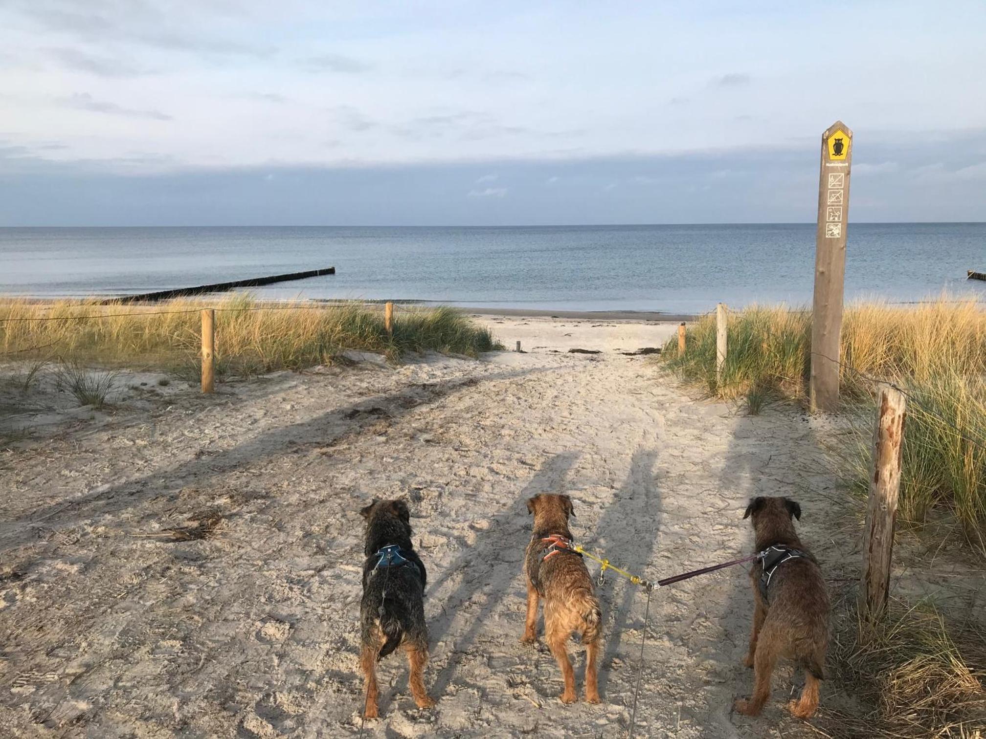 Ferienhaus Ostsee