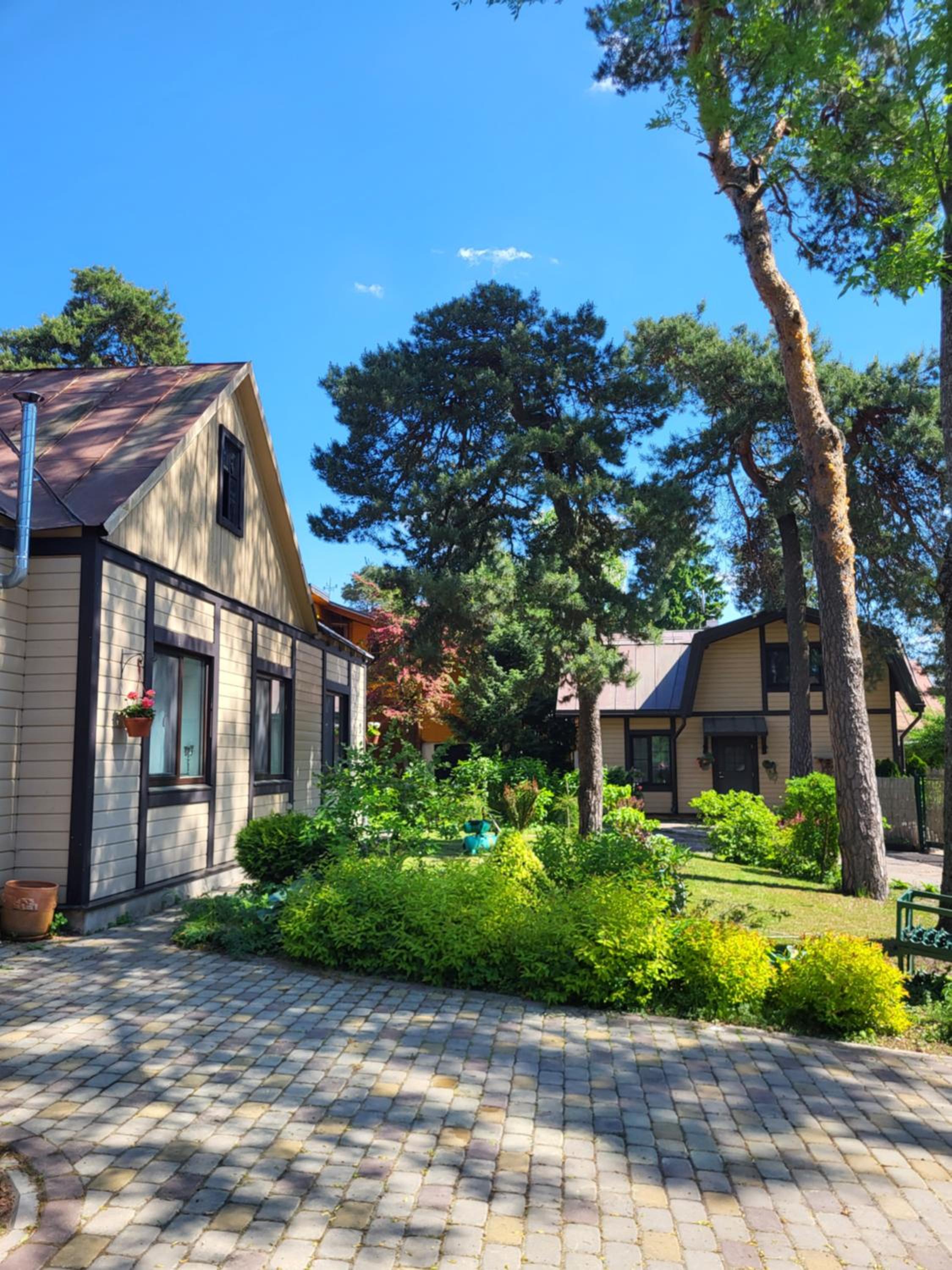 Sunnyhouse view 4