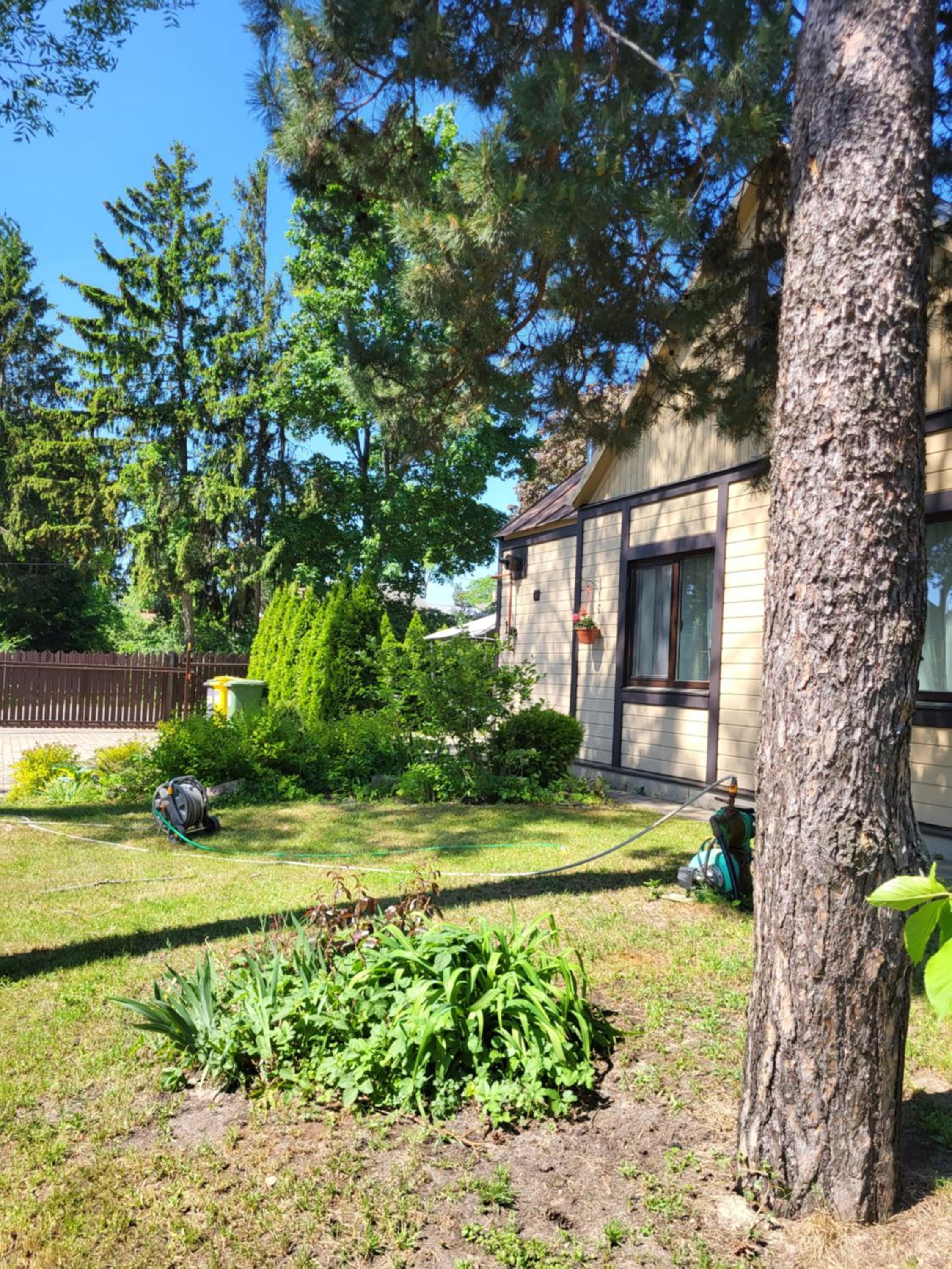 Sunnyhouse view 3