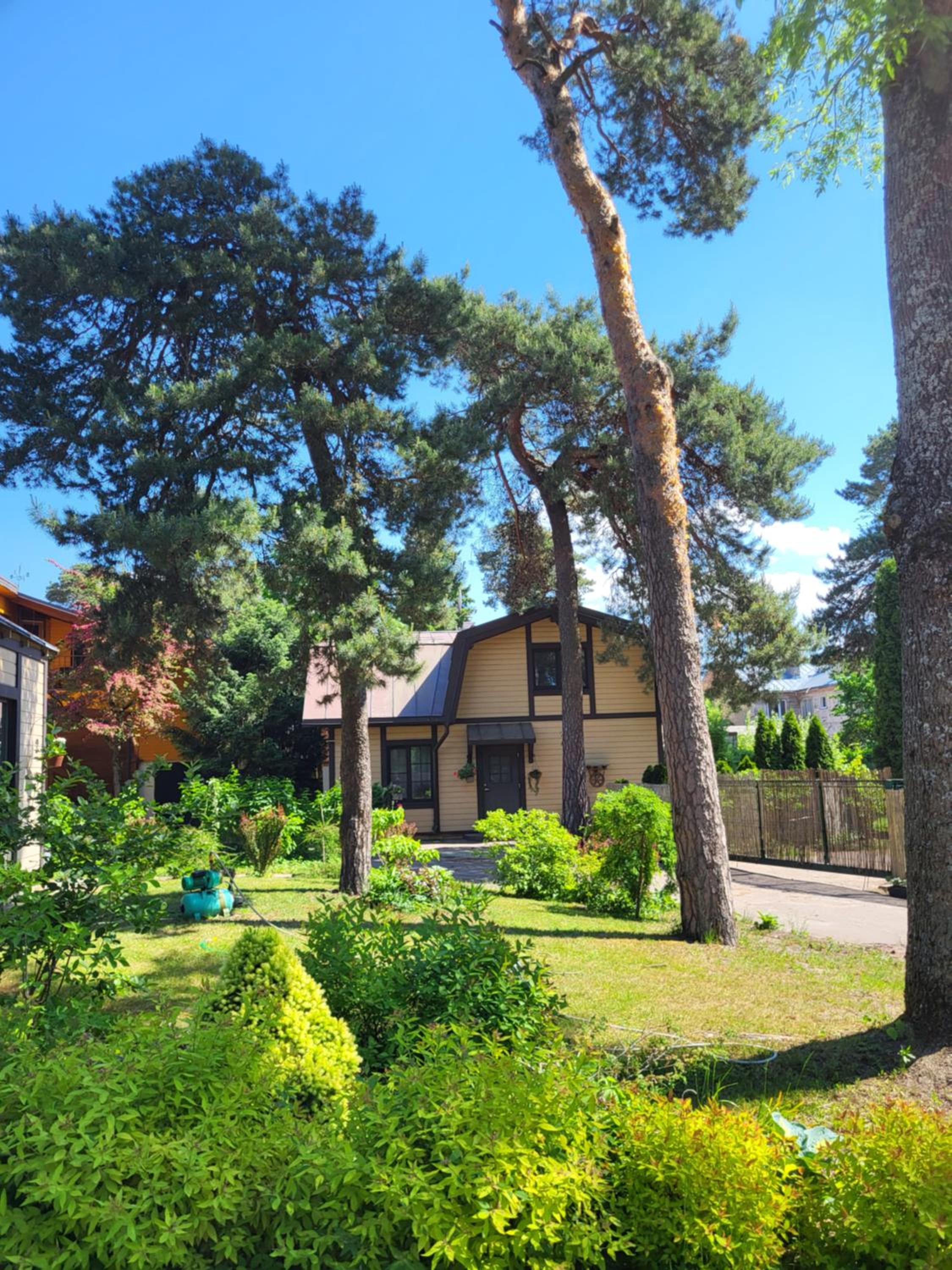 Sunnyhouse view 2