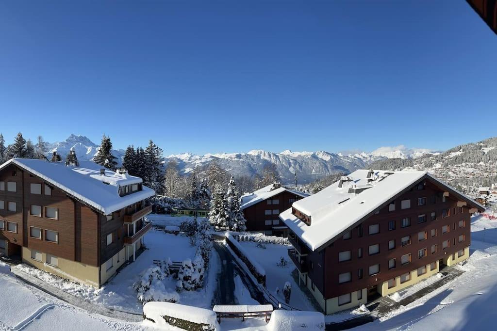 Beryl Flat for 5, stunning views