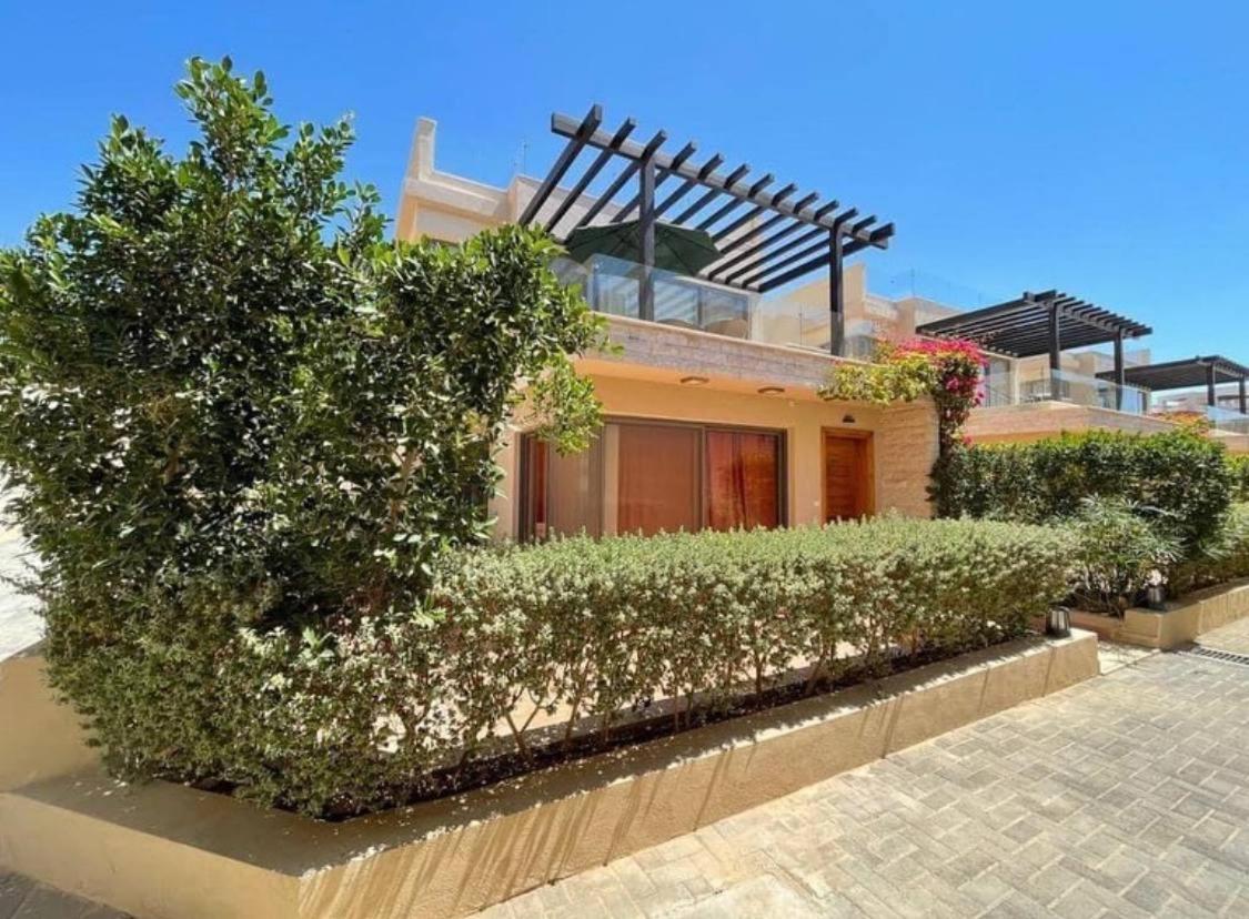 omar villa
