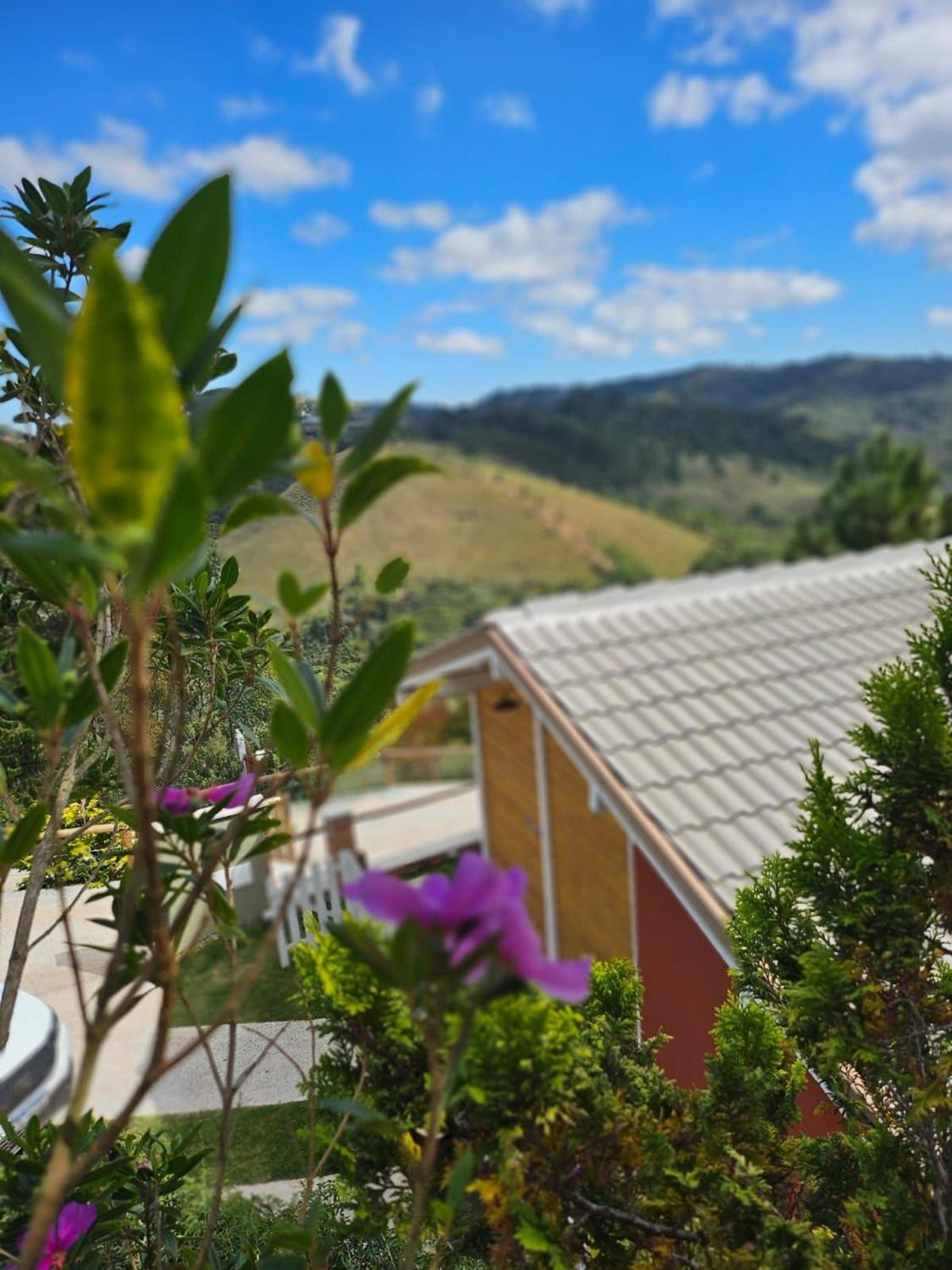 Alto da Mantiqueira - Manacá
