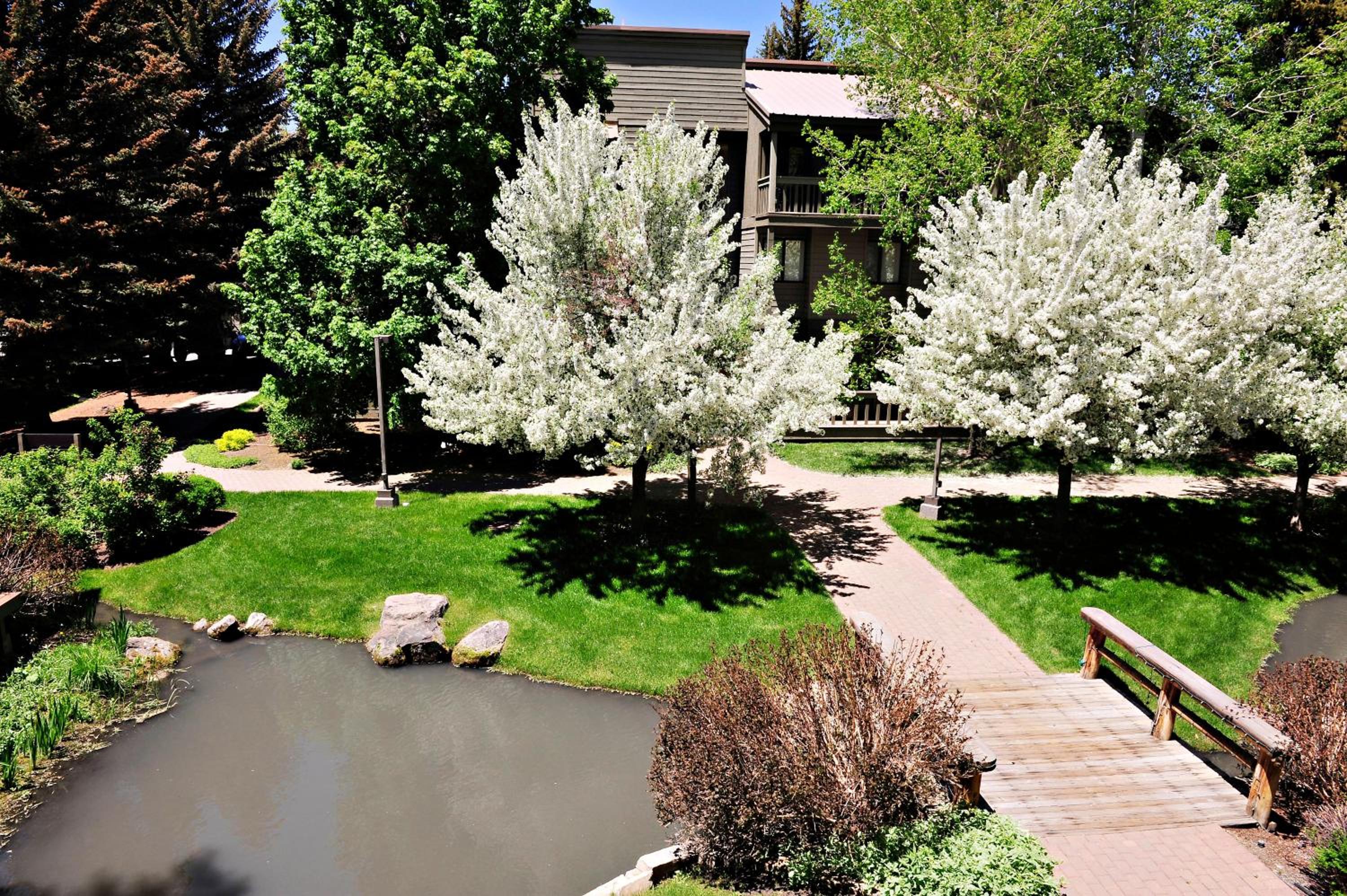 Cottonwood Condo 1426 - Property Image 13