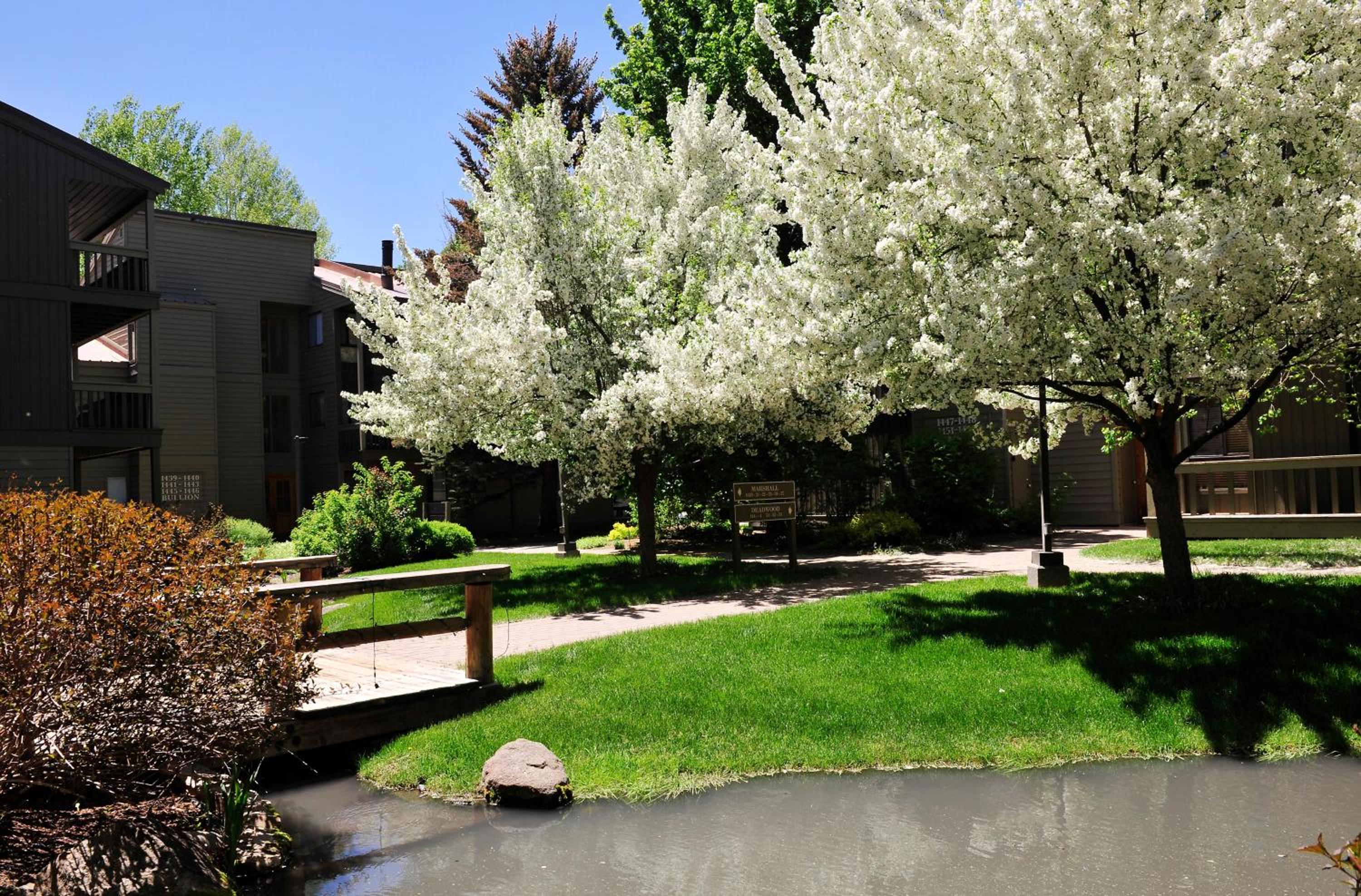 Cottonwood Condo 1426 - Property Image 9
