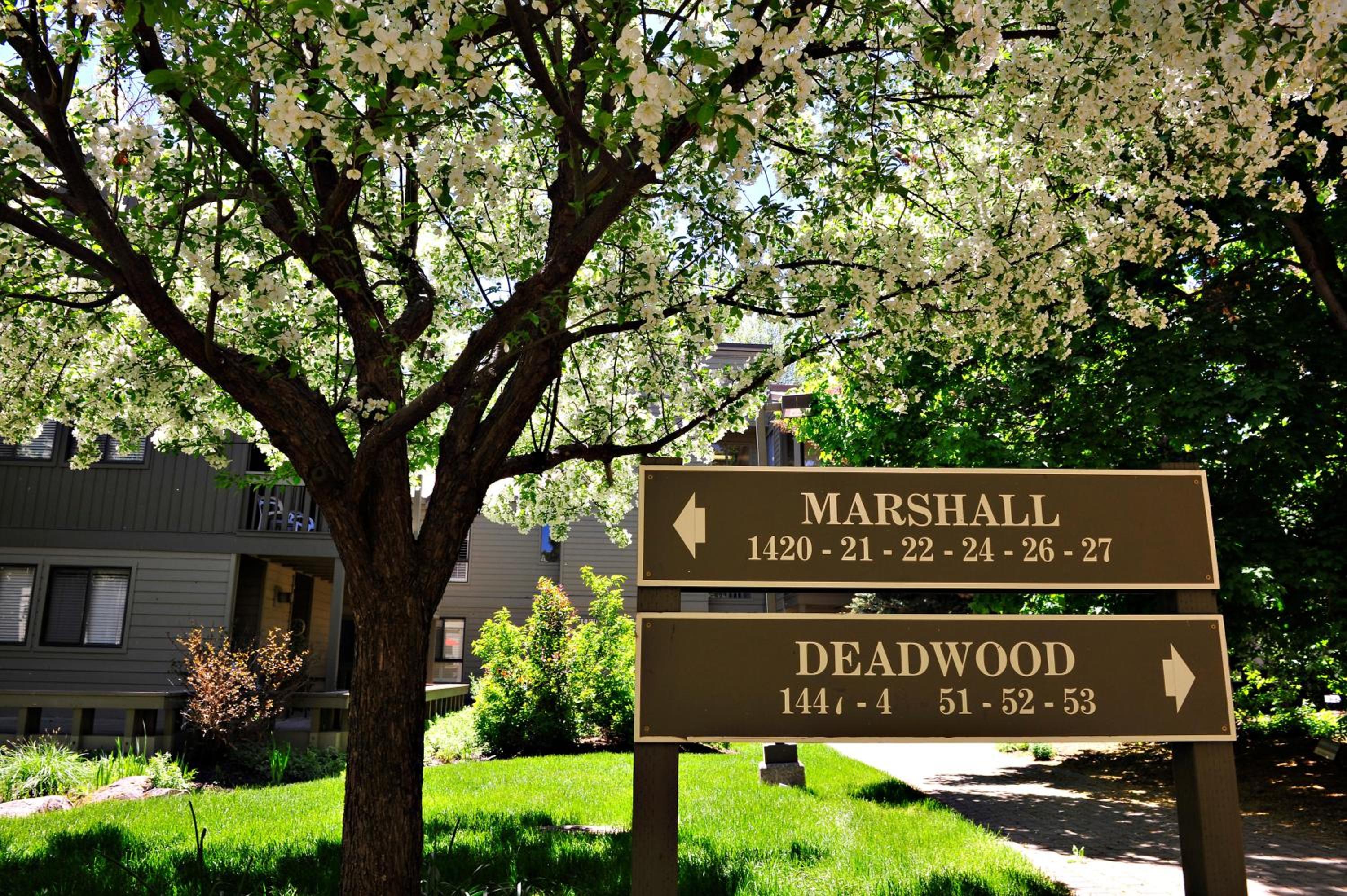 Cottonwood Condo 1426 - Property Image 8