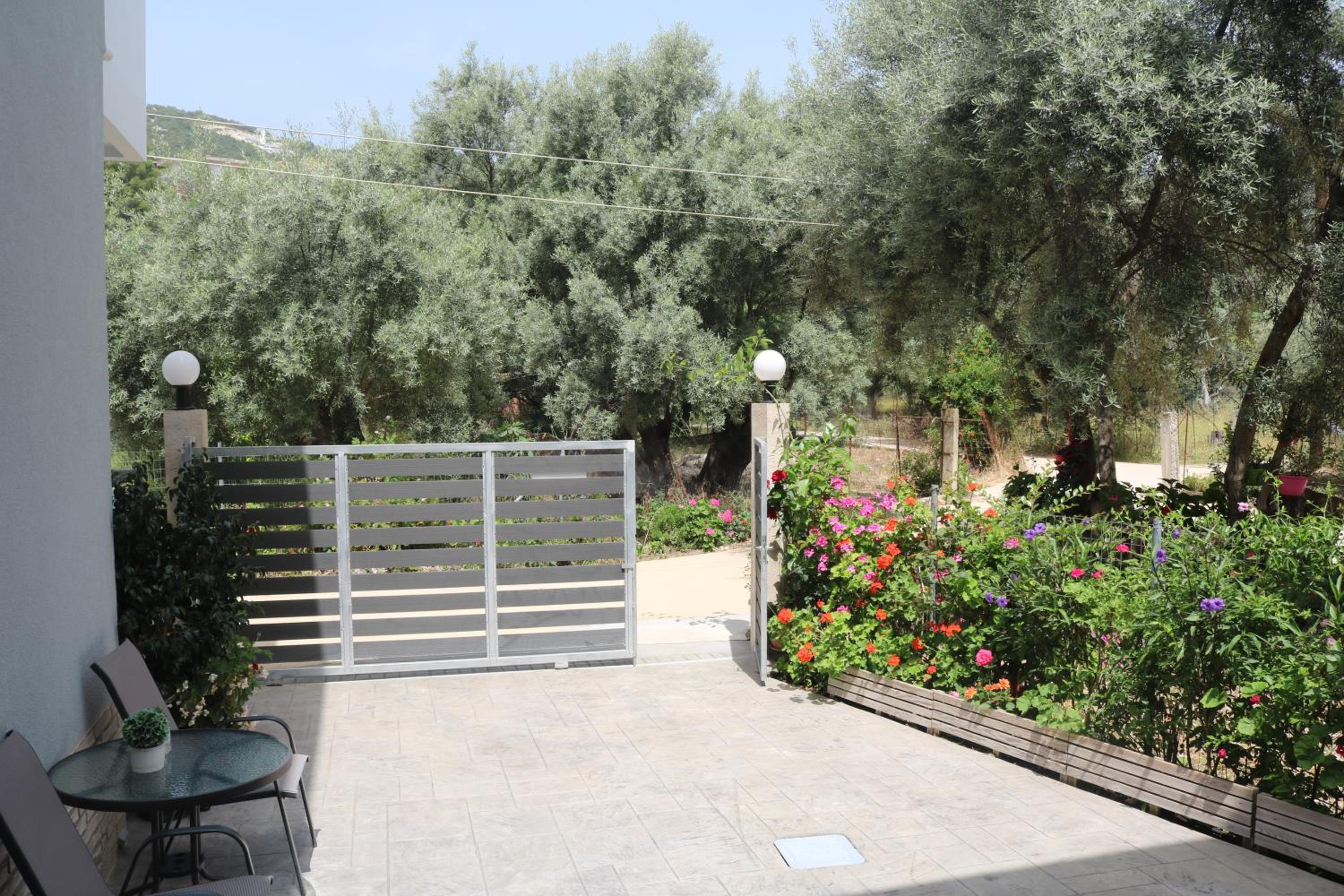 Photo 11