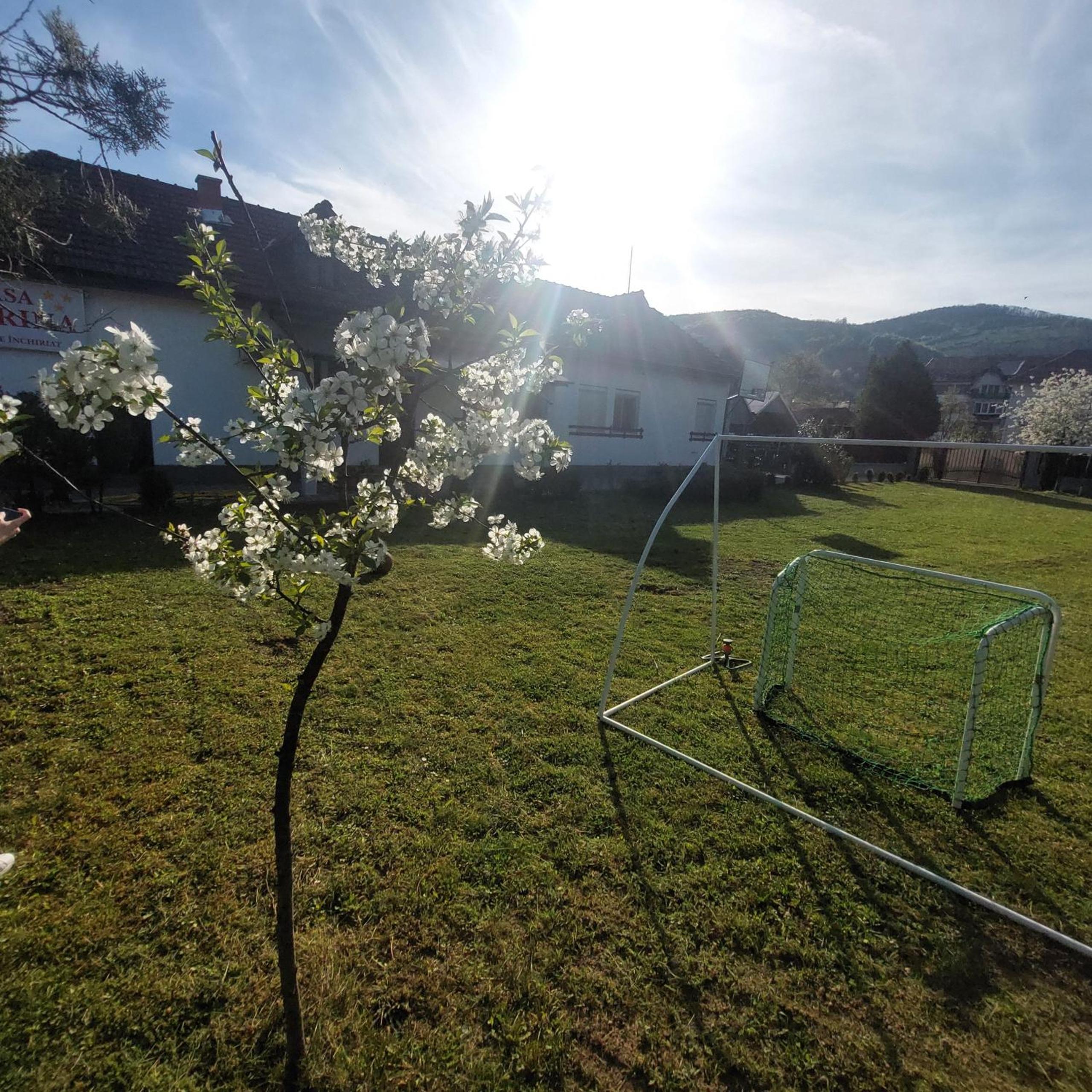 La Florina