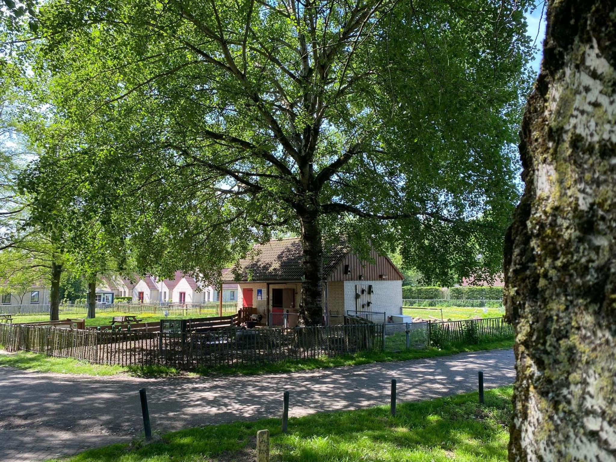 Photo 46
