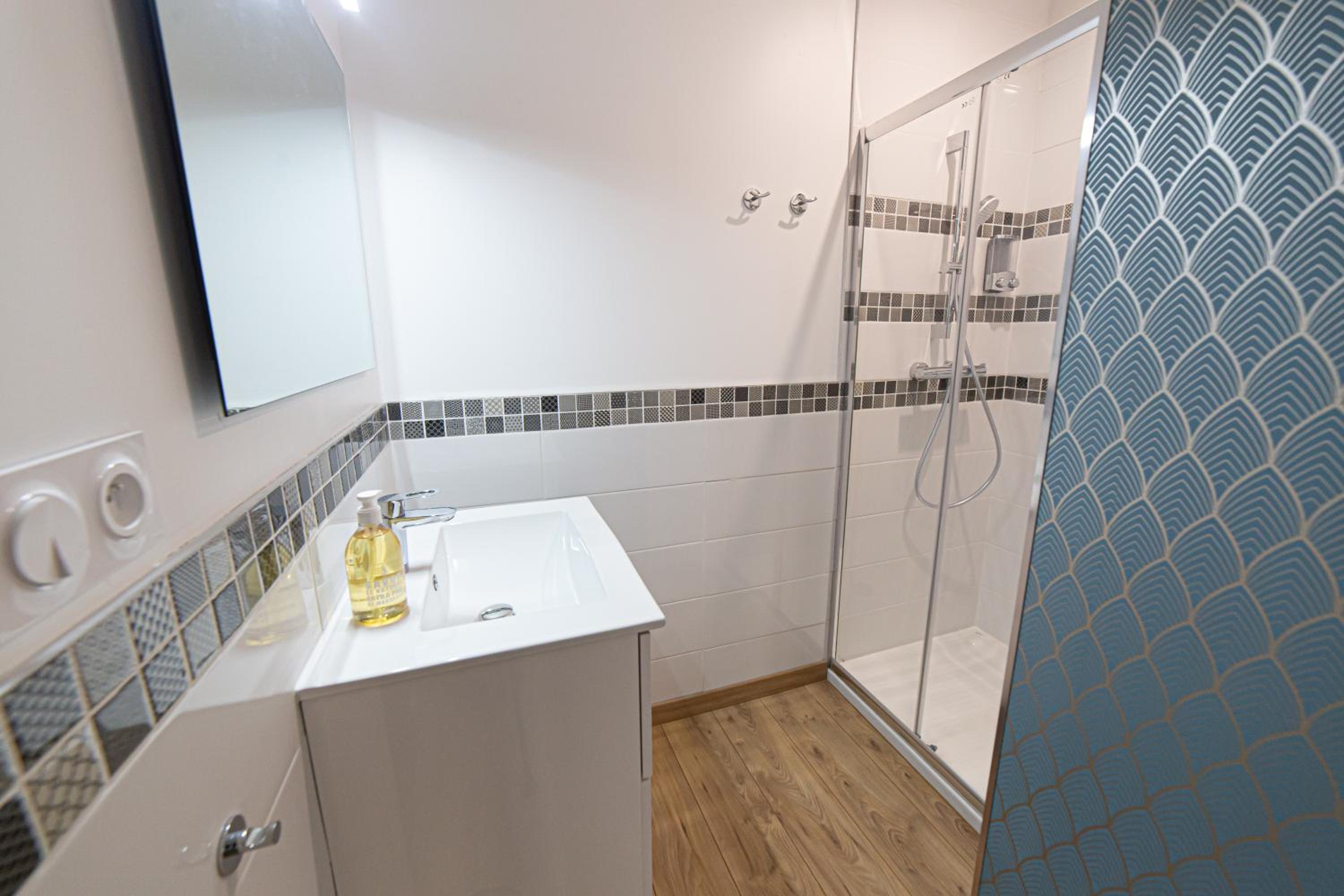 demeure de prestige centre ville Nogent Sur Seine, photo 15