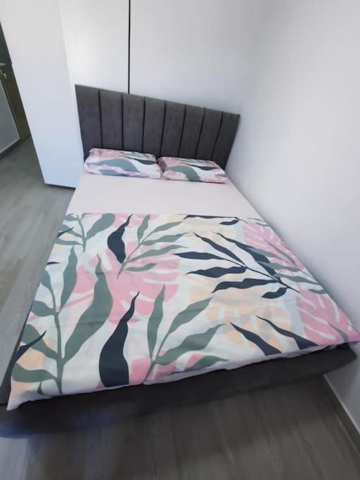 Apartman 37