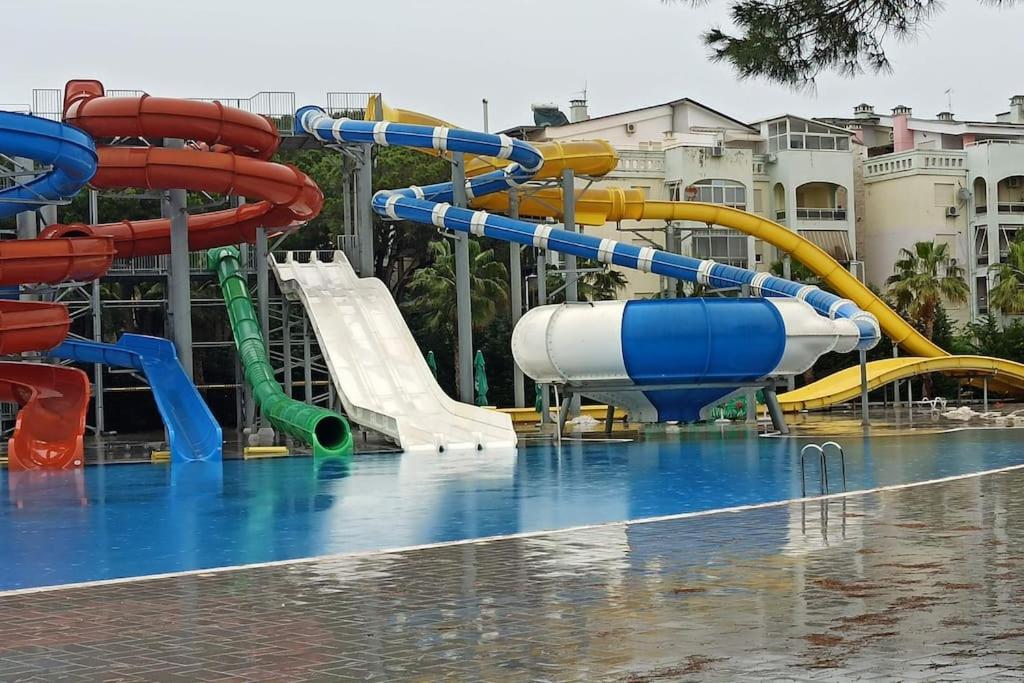 Apartman 37